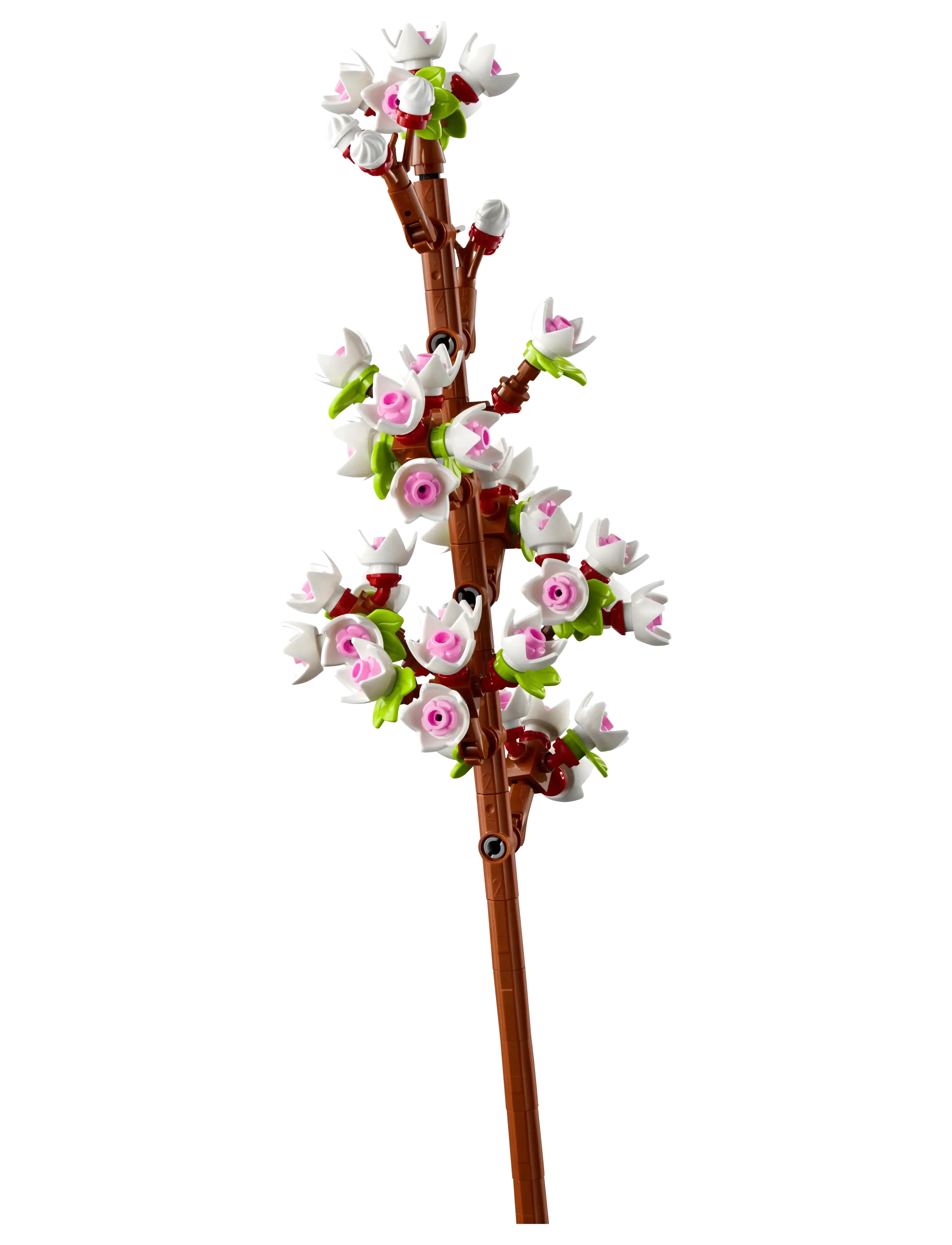 LEGO - Cherry Blossoms Celebration Gift 40725 - lego  botanical collection - multi - 3