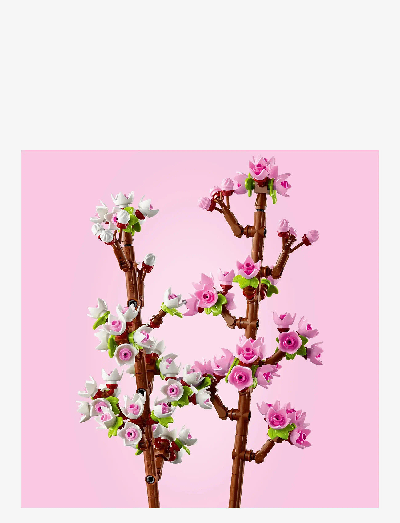 LEGO - Cherry Blossoms Celebration Gift 40725 - lego botanical collection - multi - 4