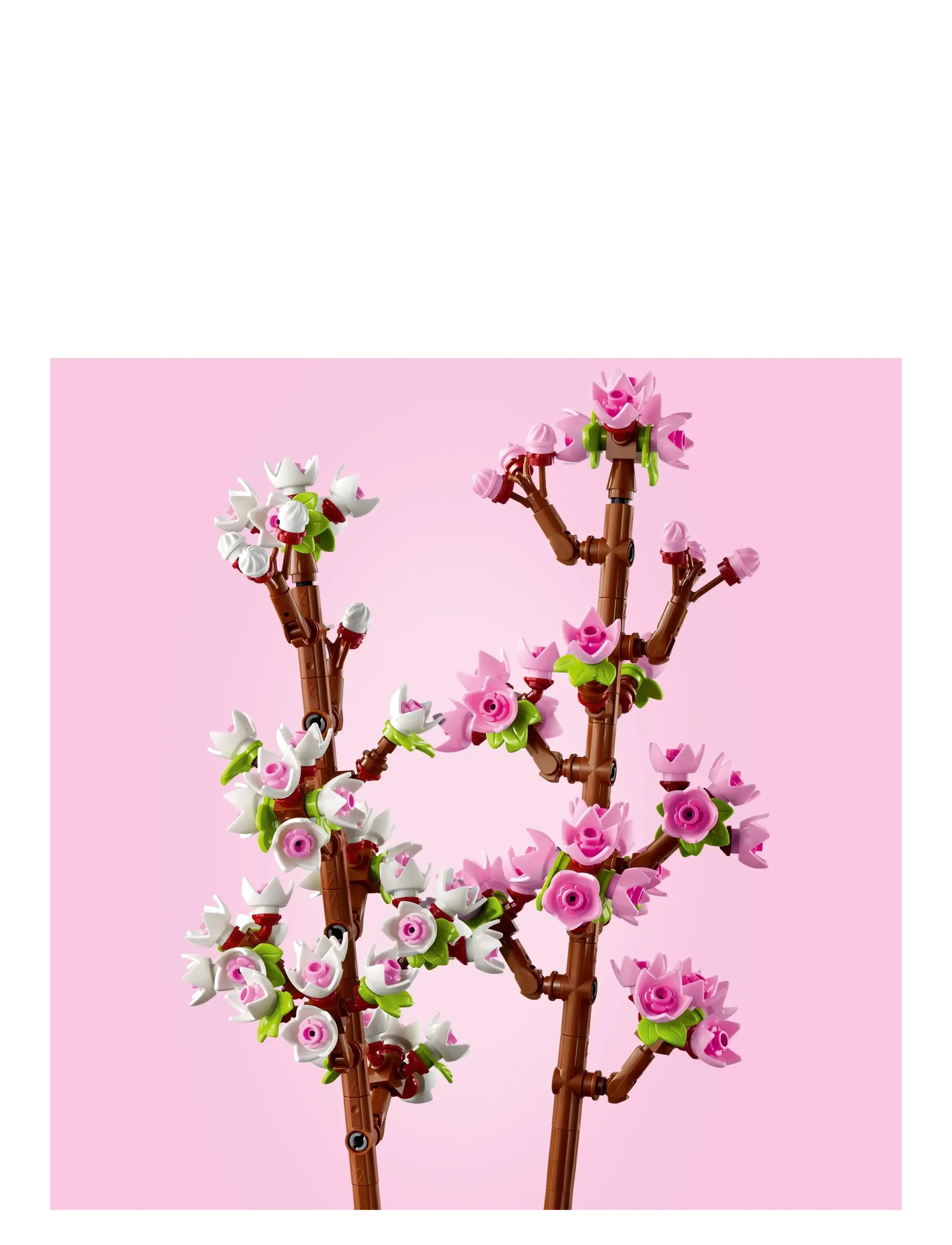 LEGO - Cherry Blossoms Celebration Gift 40725 - lego  botanical collection - multi - 4