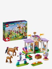 Horse Training Stables with 2 Toy Horses - MULTICOLOR
