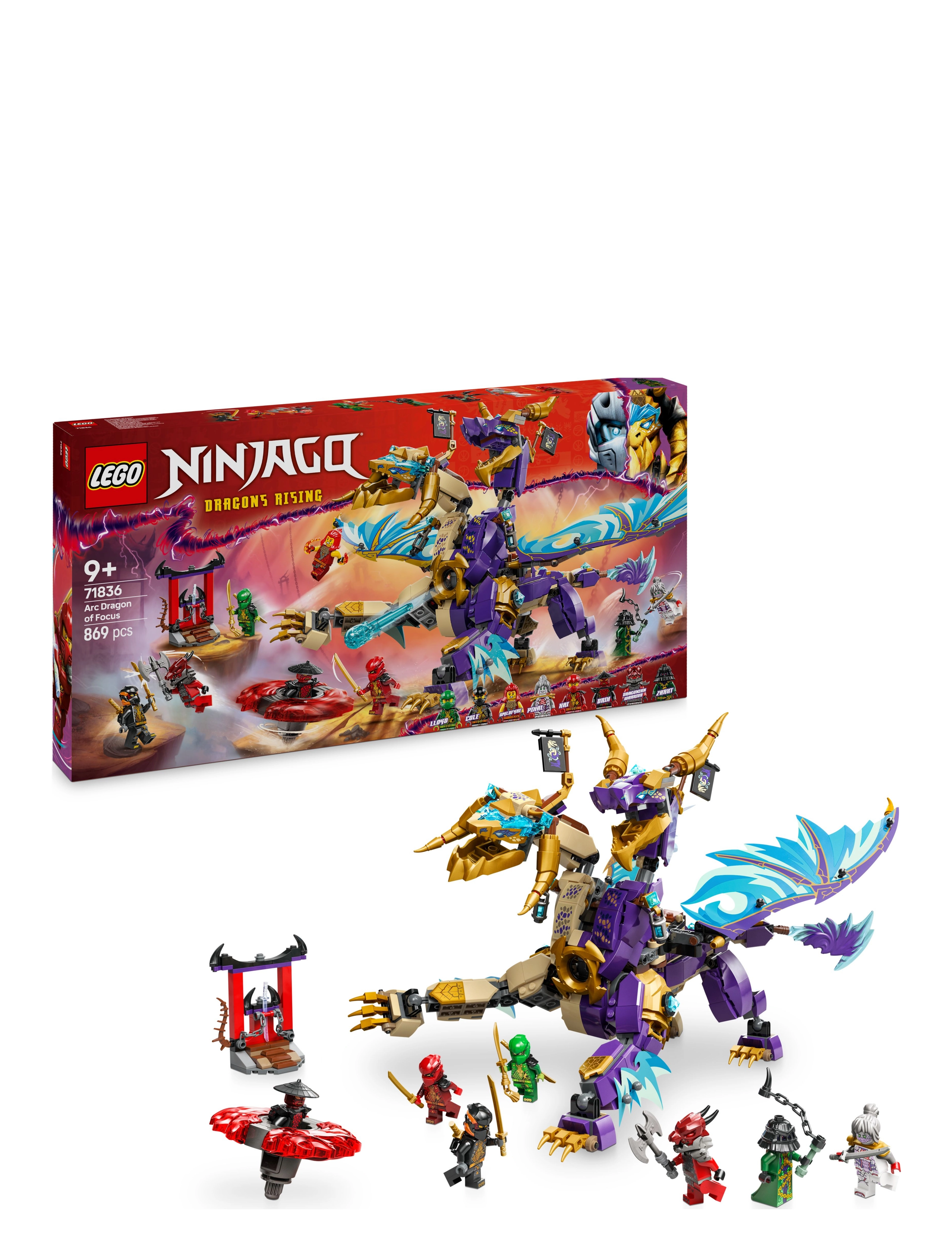LEGO Ærke-Fokusdrage Patterned - One Size - Kinder
