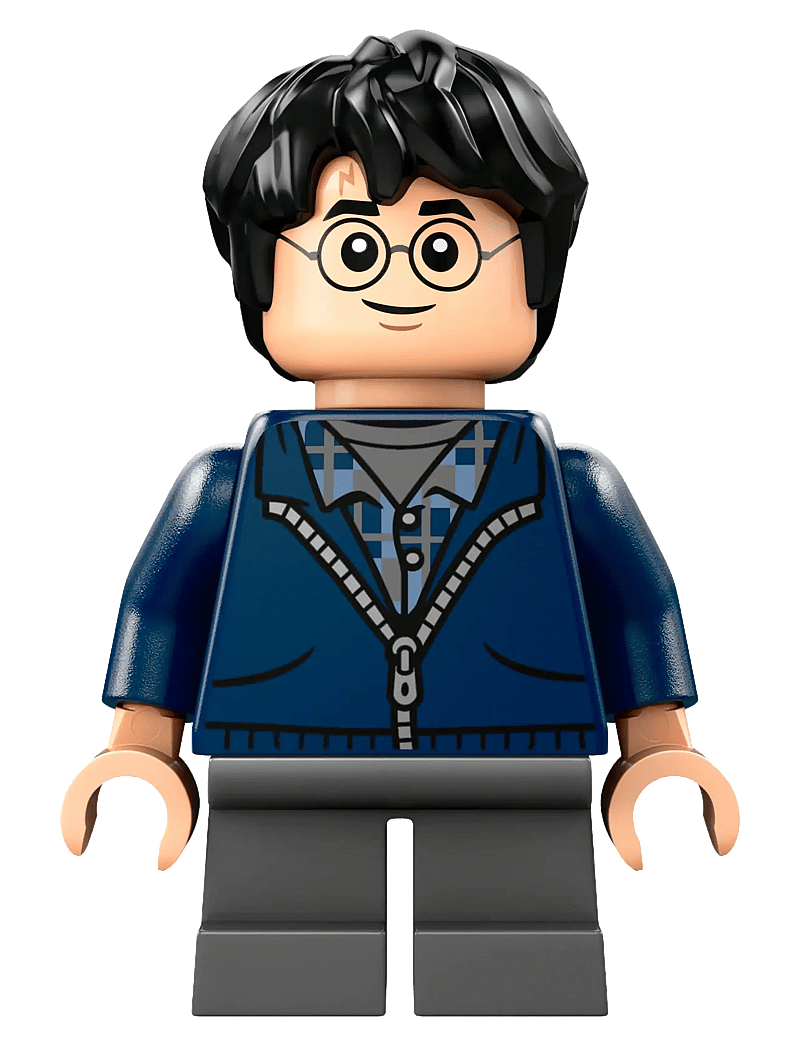 LEGO - Harry Aragog in the Forbidden 76434 - lego® harry potter™ - multi - 3