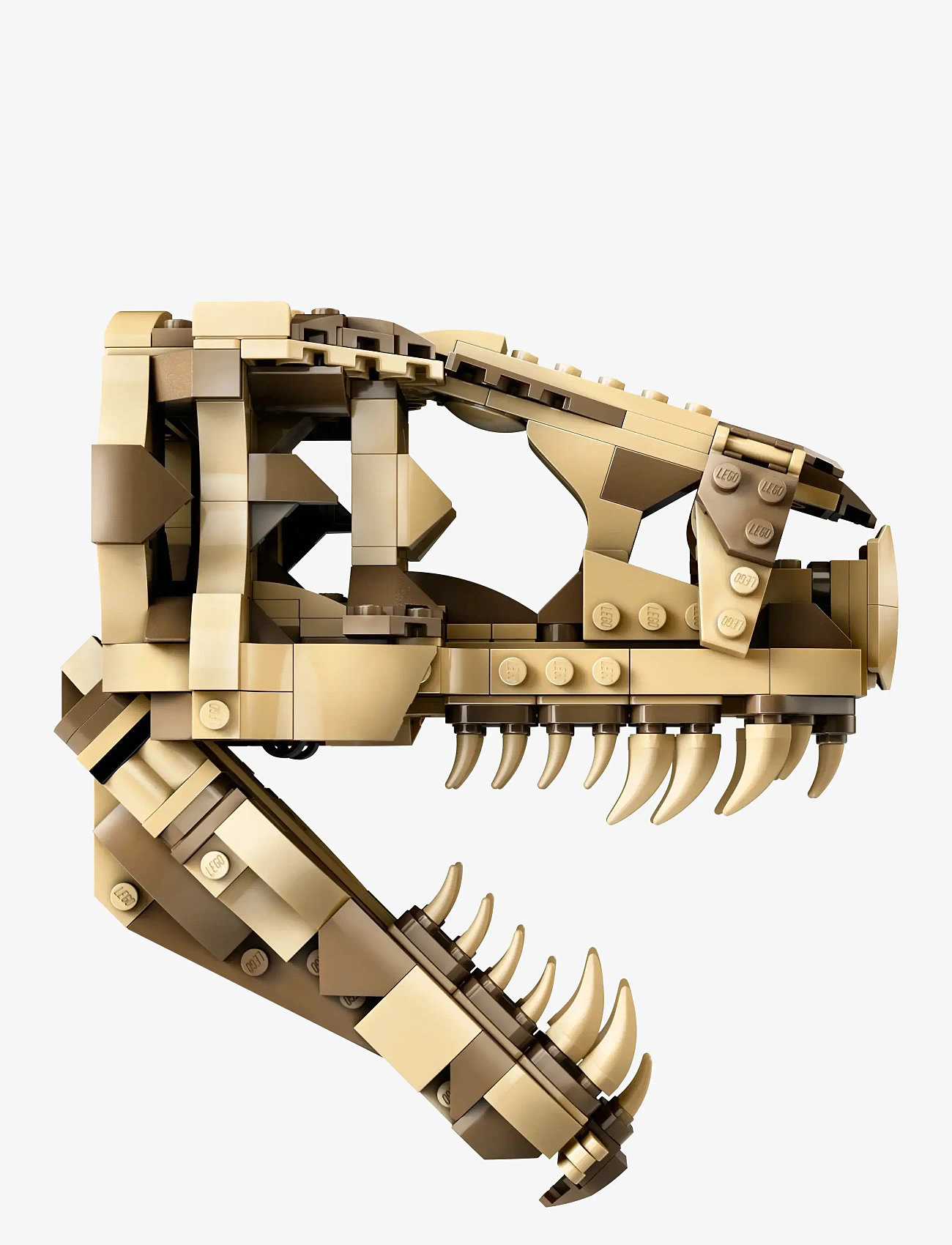 LEGO Jurassic World Dinosaur Fossils: Rex Skull 76964 (LGO76964