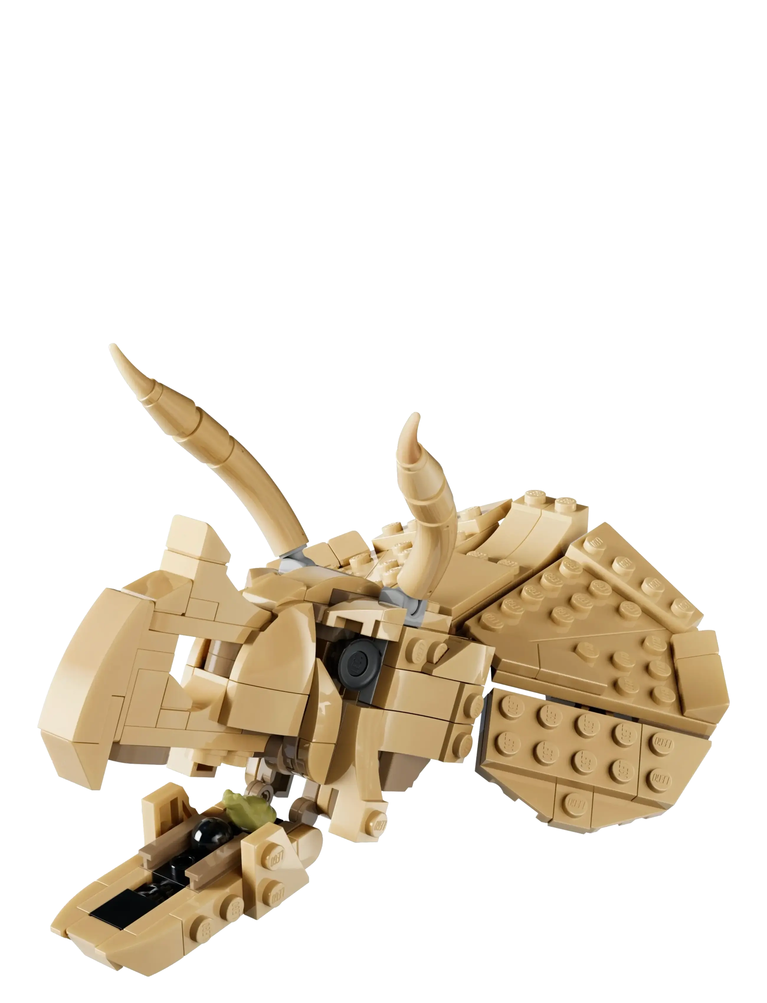 LEGO - Jurassic World Dinosaur Fossils: Triceratops 77985 - lego jurassic world™ - multi - 2