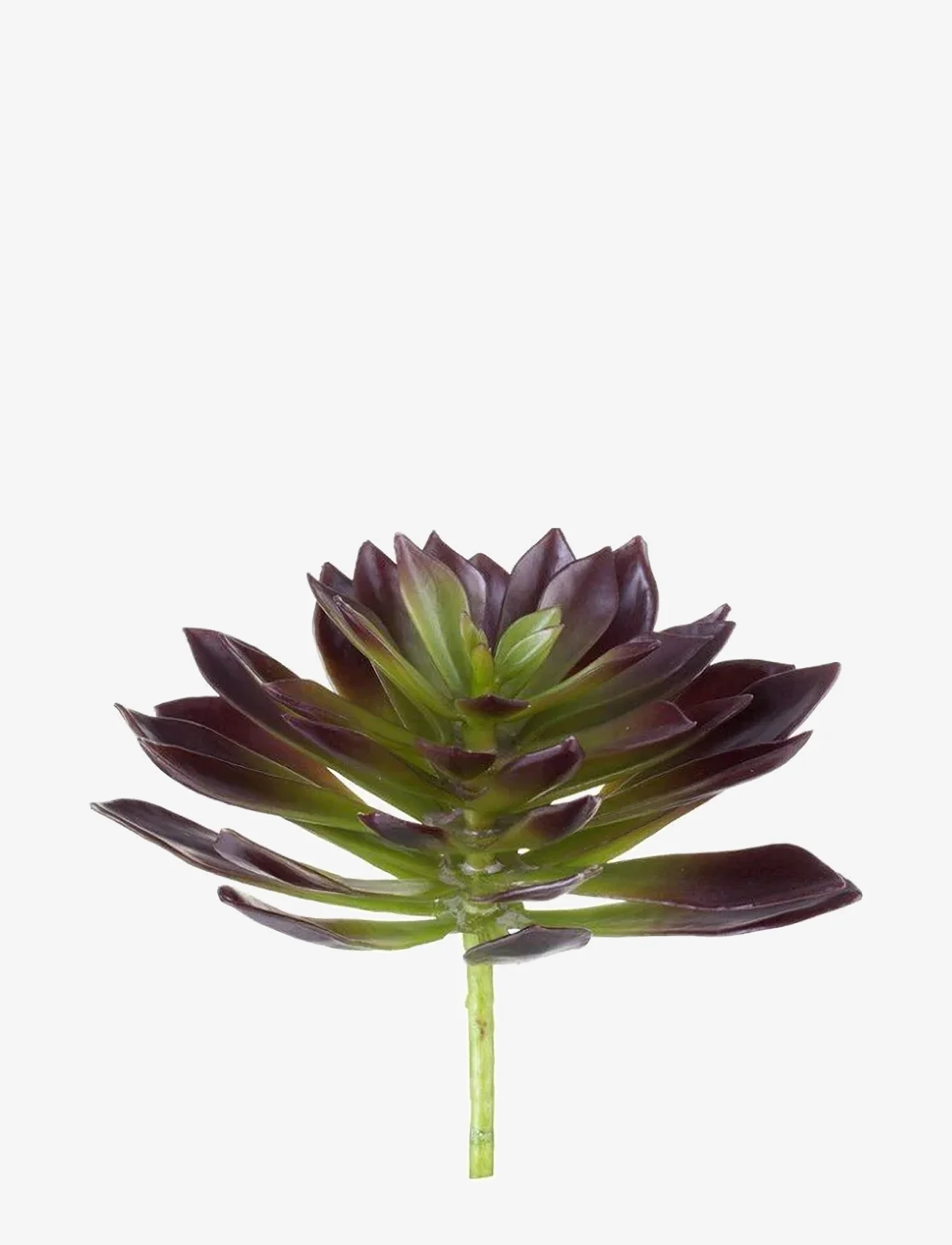 Lene Bjerre - Flora succulent 20 cm. - konstgjorda blommor - d. aubergine - 0