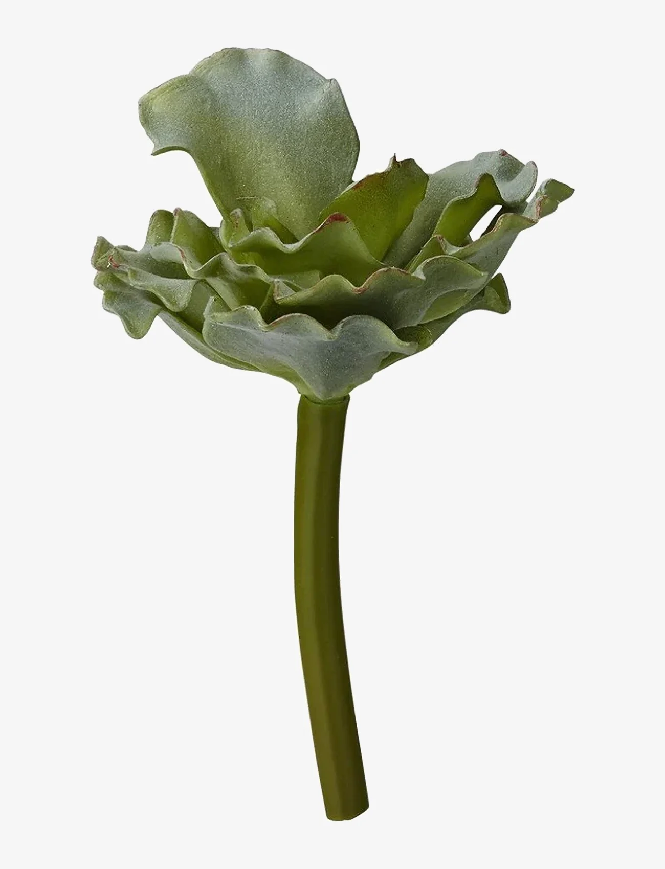 Lene Bjerre - Flora succulent 13 cm. - lägsta priserna - green - 0