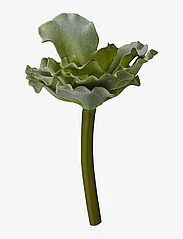 Lene Bjerre - Flora succulent 13 cm. - laagste prijzen - green - 0