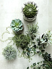 Lene Bjerre - Flora succulent 13 cm. - najniższe ceny - green - 1