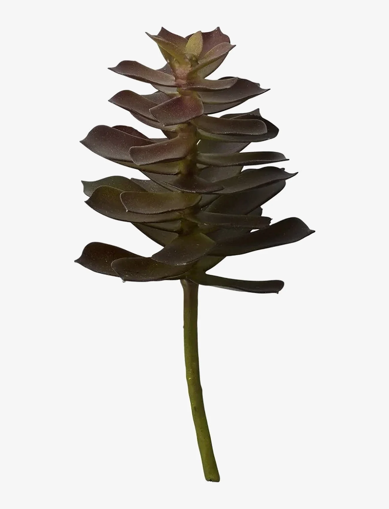 Lene Bjerre - Flora succulent 18 cm. - de laveste prisene - green - 0