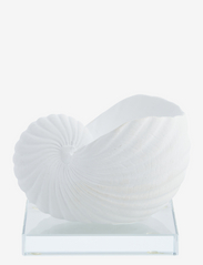 Shella decoration H9.2 cm. - WHITE