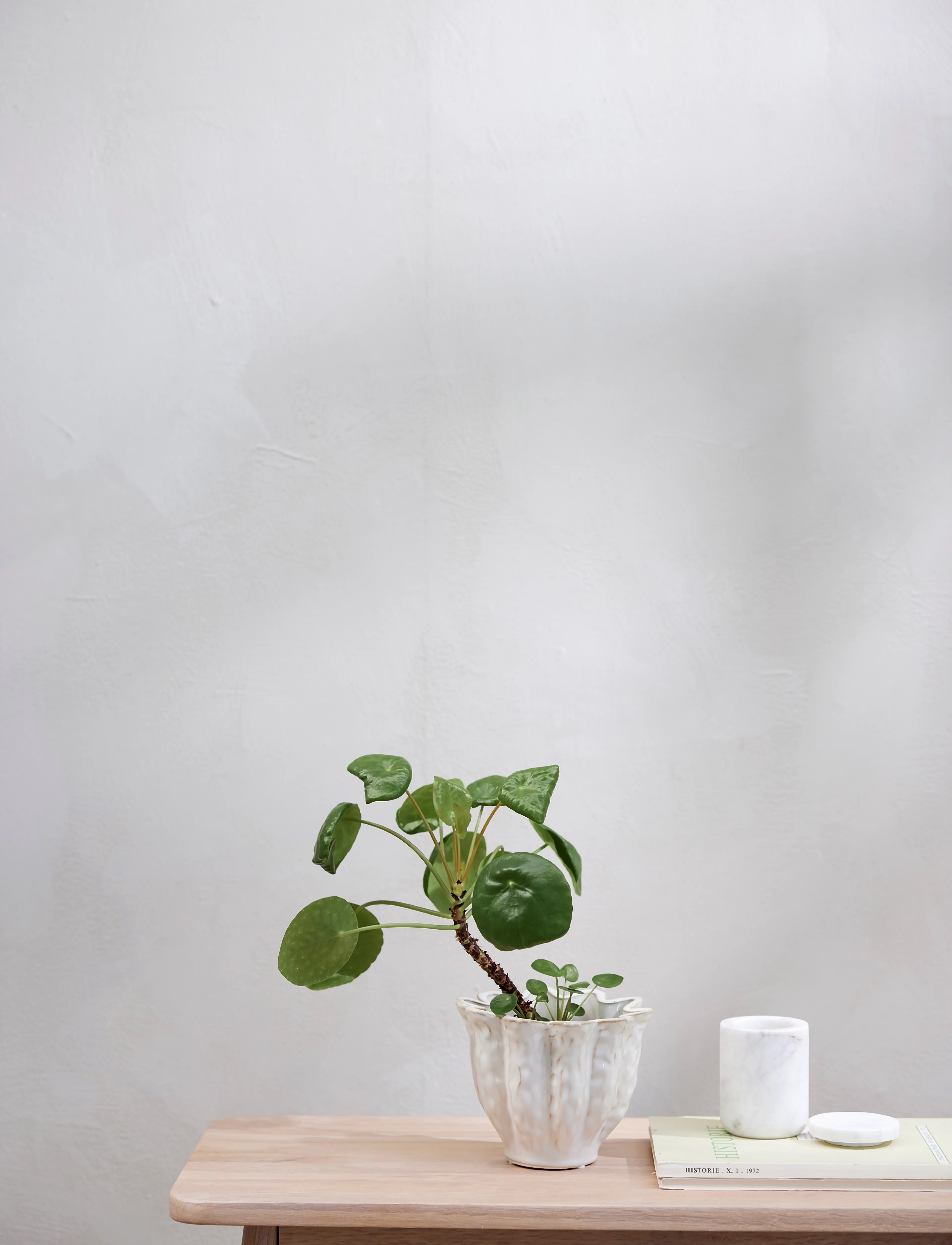 Lene Bjerre - Ellia jar 6x6x9 cm. White - decorative storage - white - 4