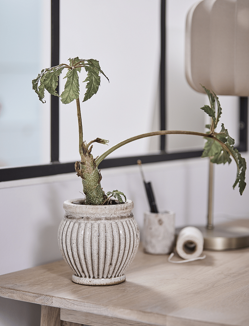 Lene Bjerre - Ellia jar - minikarbid - linen - 3
