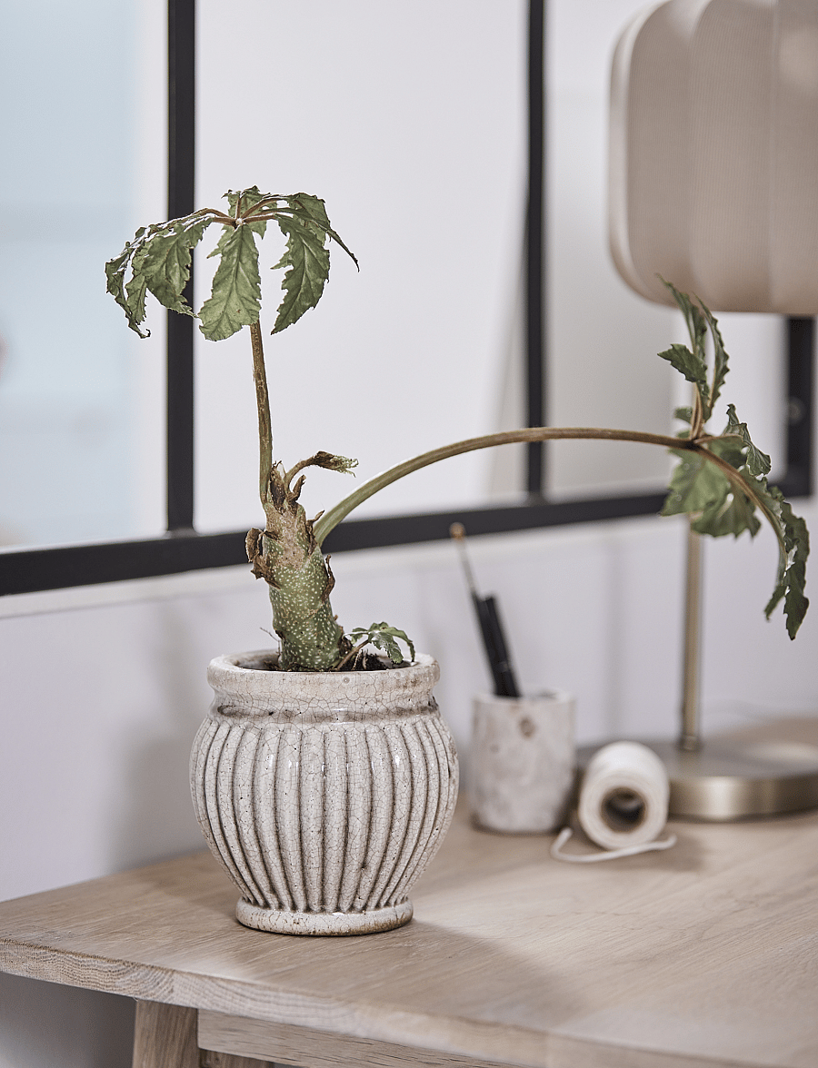Lene Bjerre - Ellia jar - aufbewahrungsboxen - linen - 3