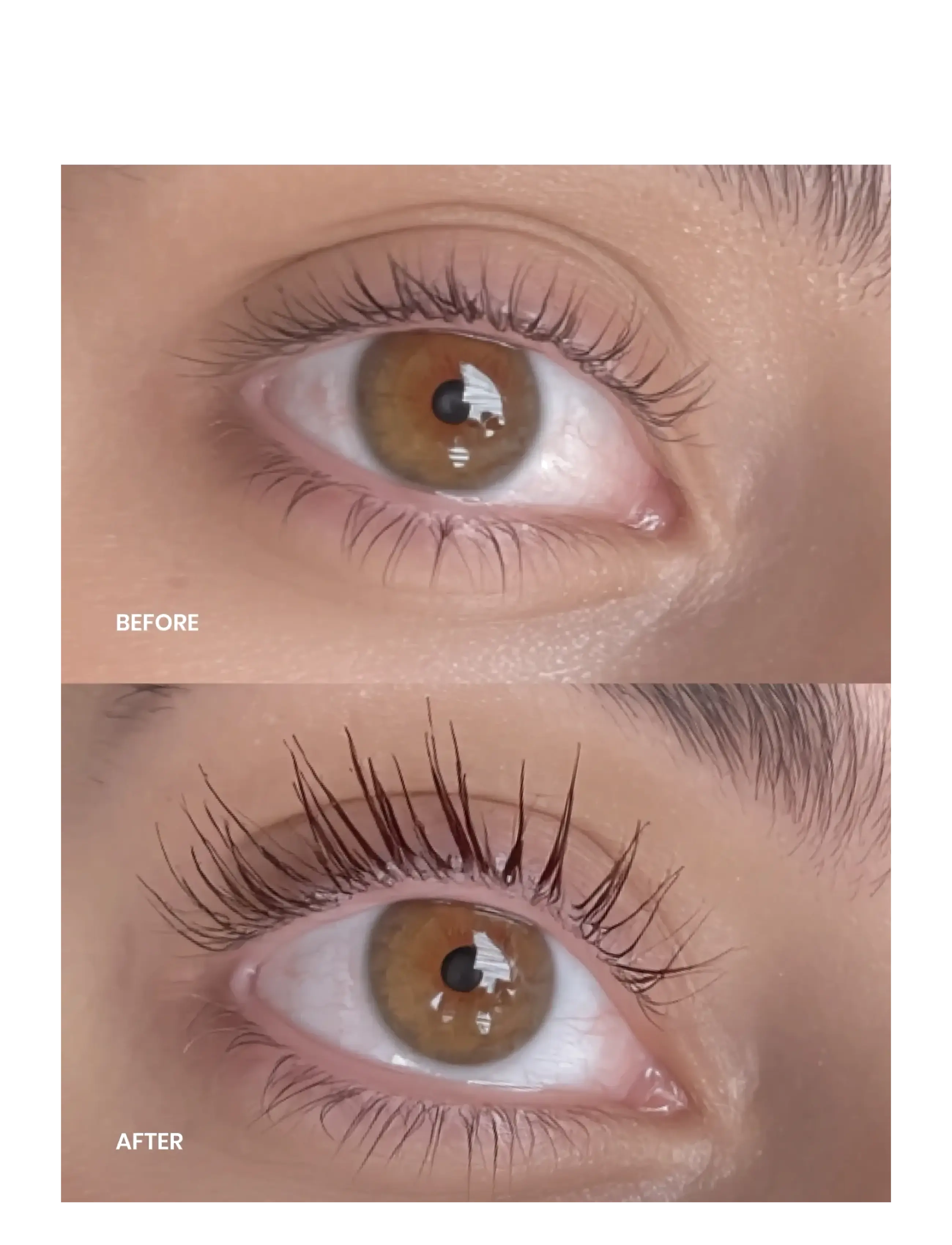 Lenoites - Eyelash Growth Serum - smink - transparent - 2