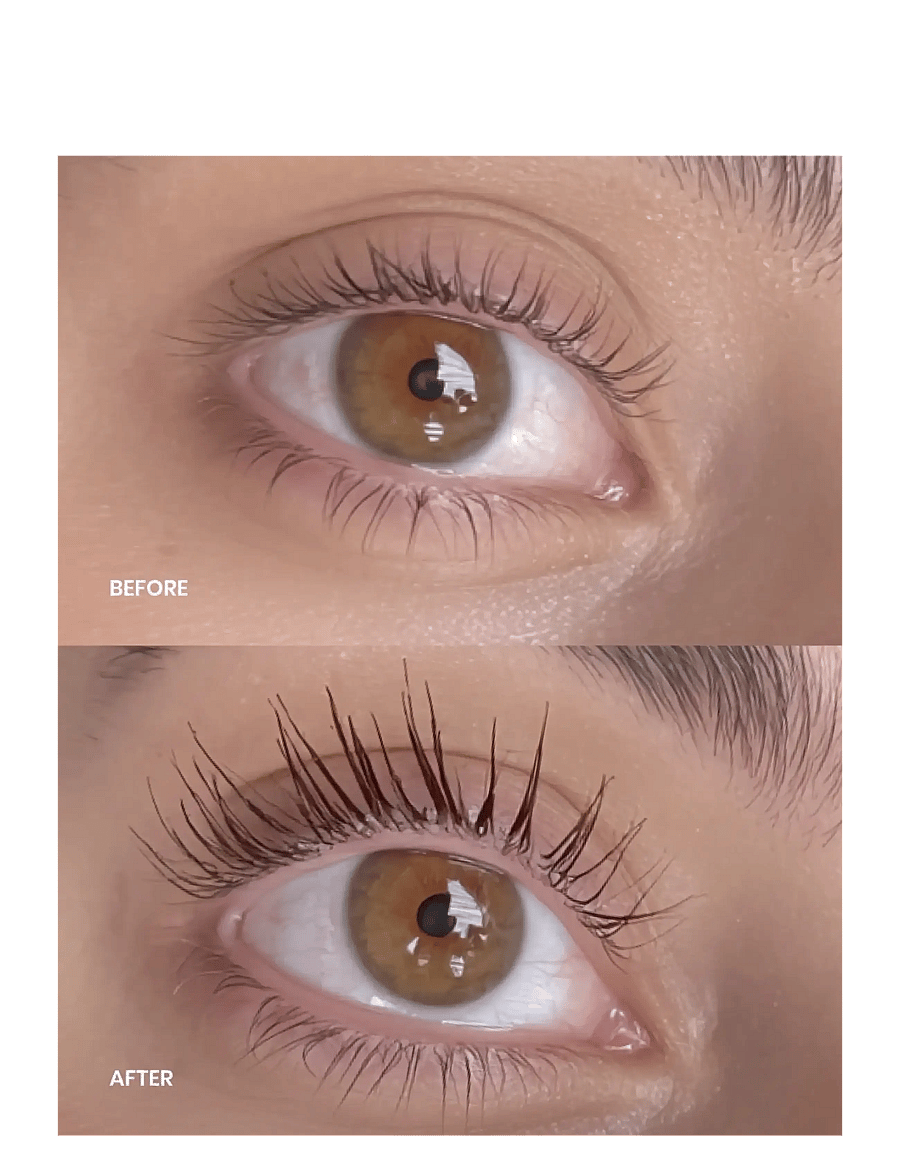 Lenoites - Eyelash Growth Serum - makeup - transparent - 2
