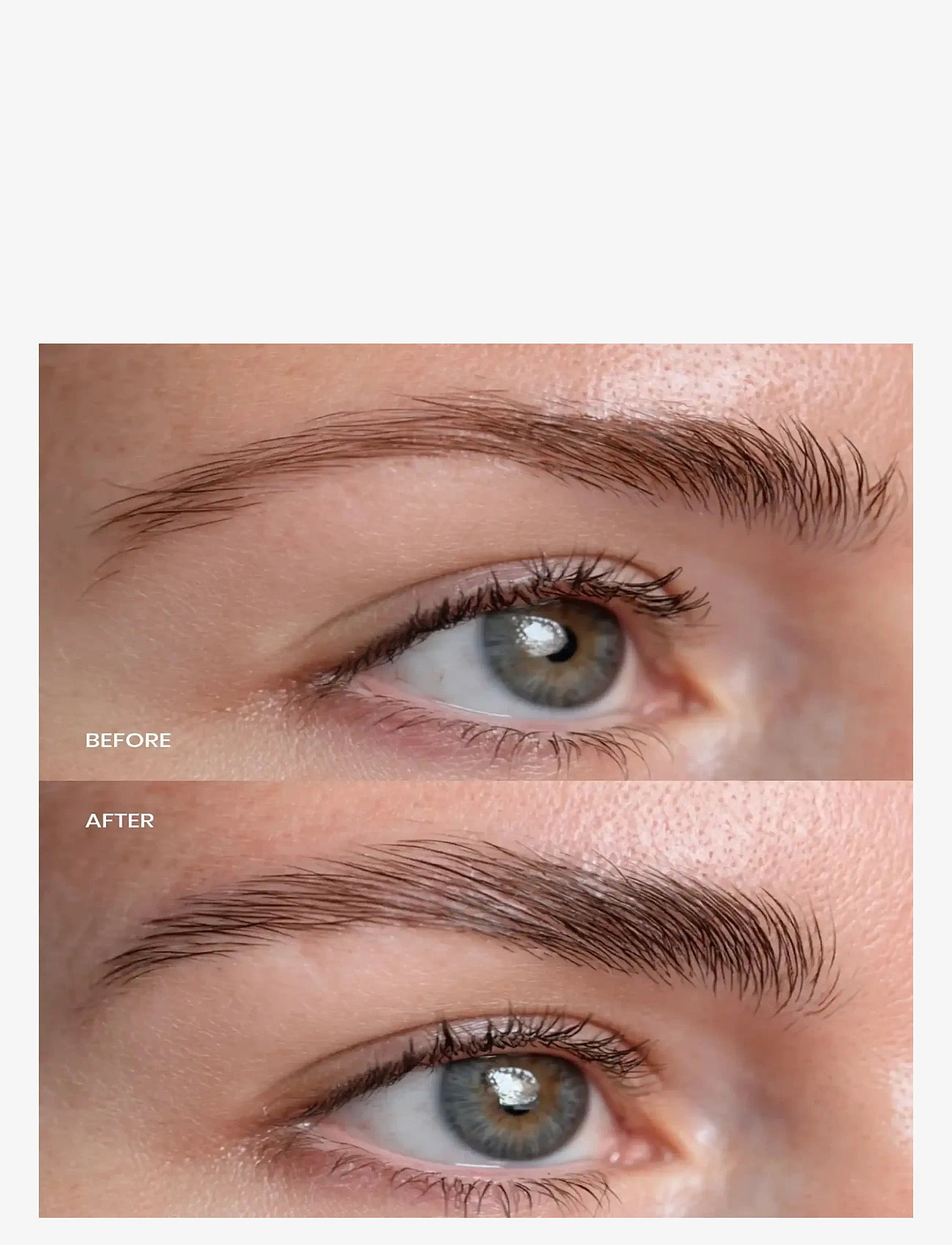 Lenoites - Eyebrow Growth Serum - meikit - transparent - 1