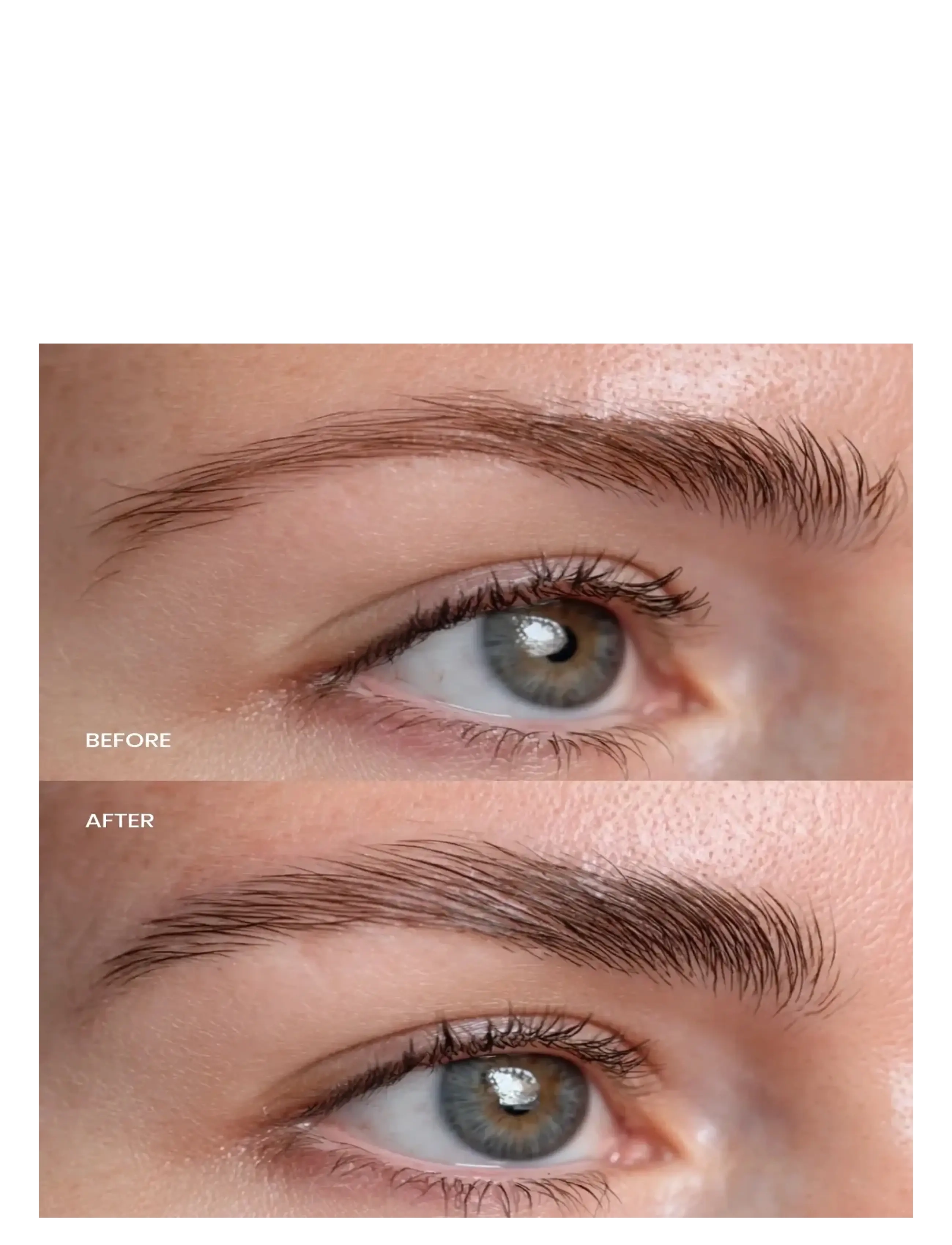 Lenoites - Eyebrow Growth Serum - smink - transparent - 1