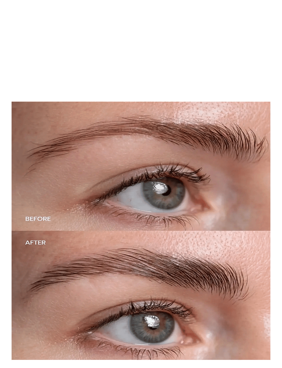 Lenoites - Eyebrow Growth Serum - makeup - transparent - 1
