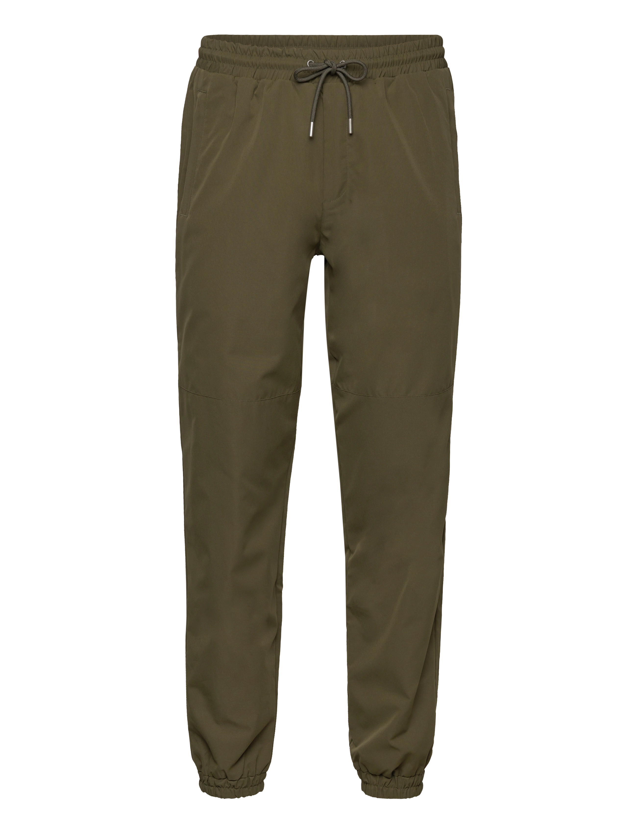 OLIVE NIGHT