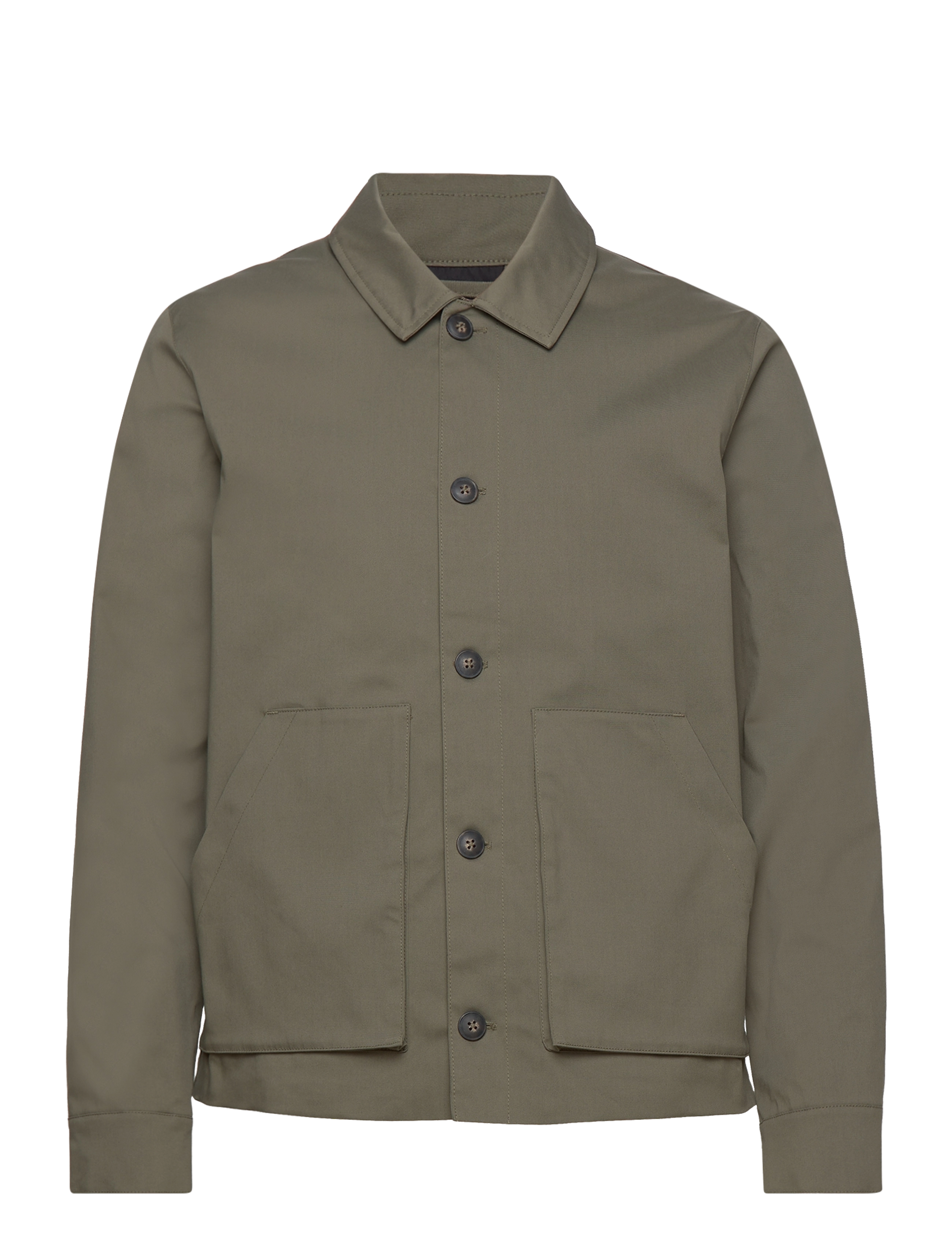 OLIVE NIGHT