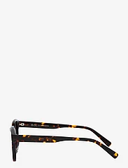 Les Deux - Skyler Sunglasses - ar apaļu rāmi - brown turtle/brown - 2