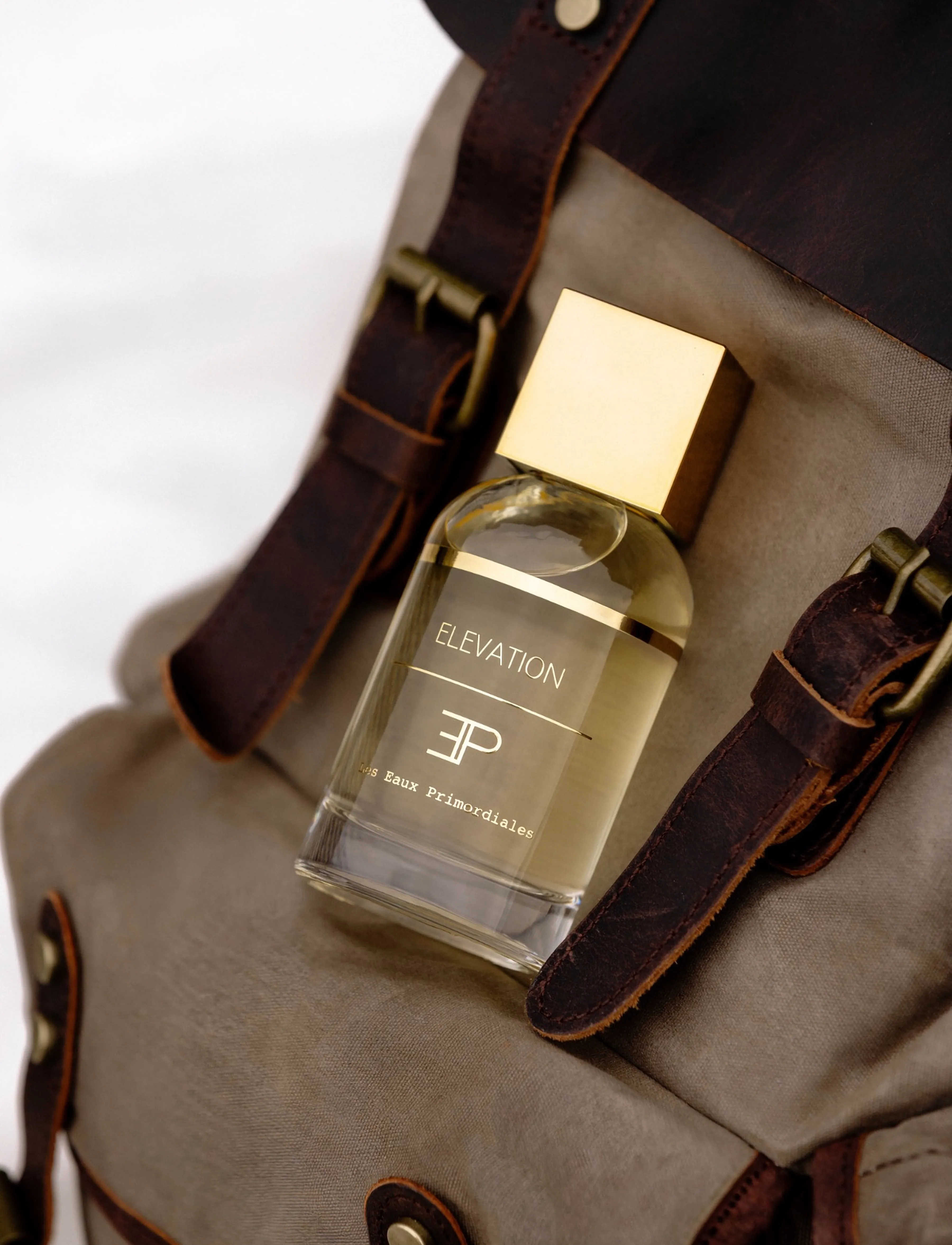 Les Eaux Primordiales - Elevation - til ham  - clear - 3
