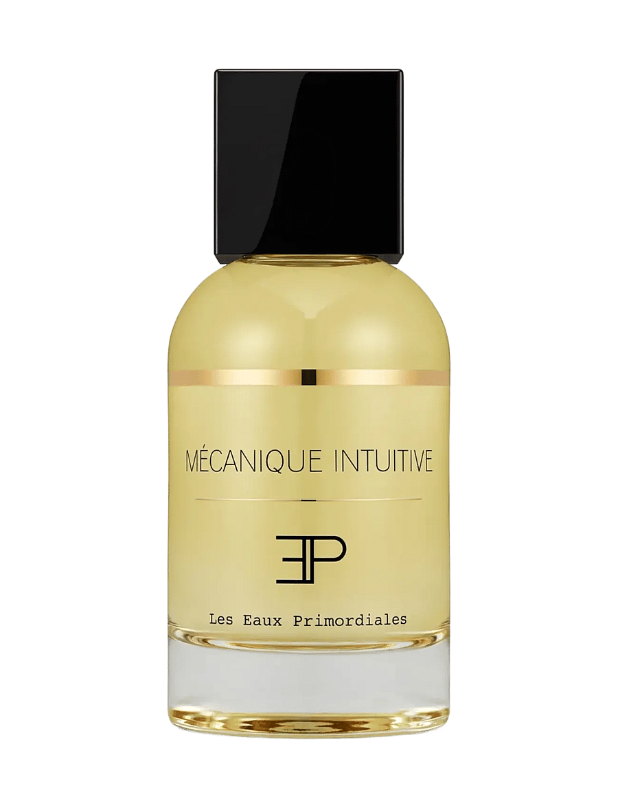 Les Eaux Primordiales - Mecanique Intuitive - till honom - clear - 0