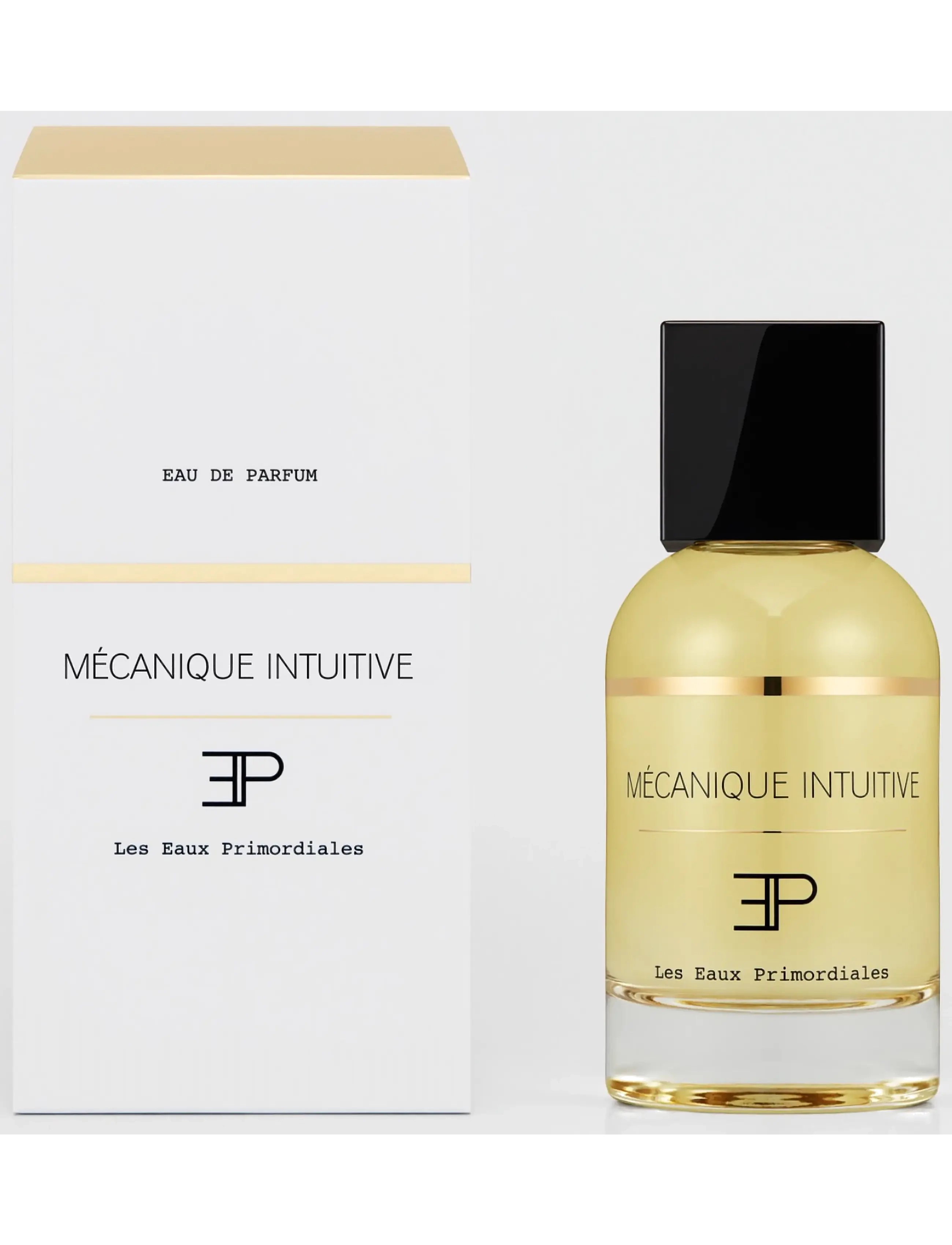 Les Eaux Primordiales - Mecanique Intuitive - til ham  - clear - 1