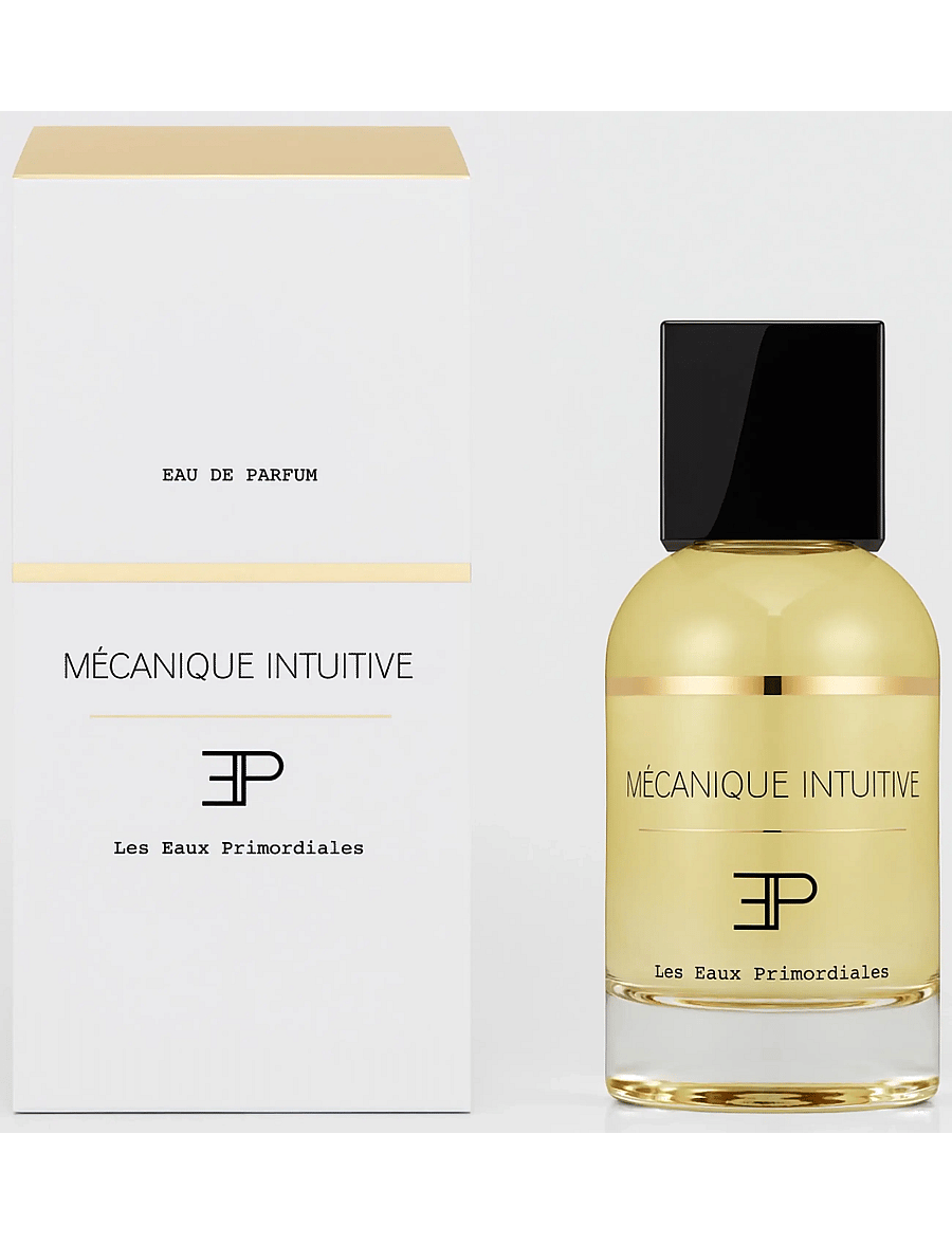 Les Eaux Primordiales - Mecanique Intuitive - till honom - clear - 1