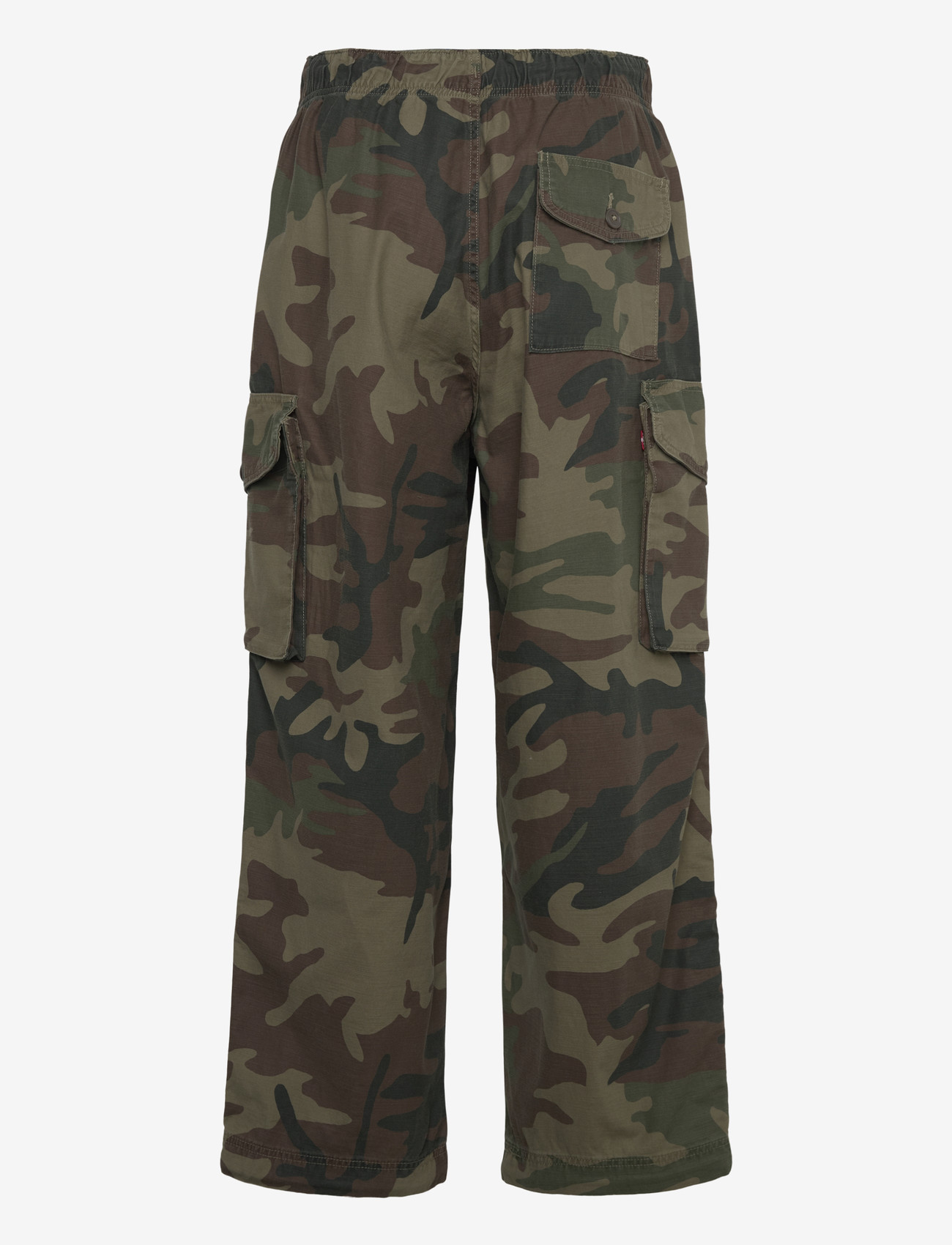 Levi's® - BAGGY FIELD CARGO PHALAROPE CA - cargobukser - multi-color - 2
