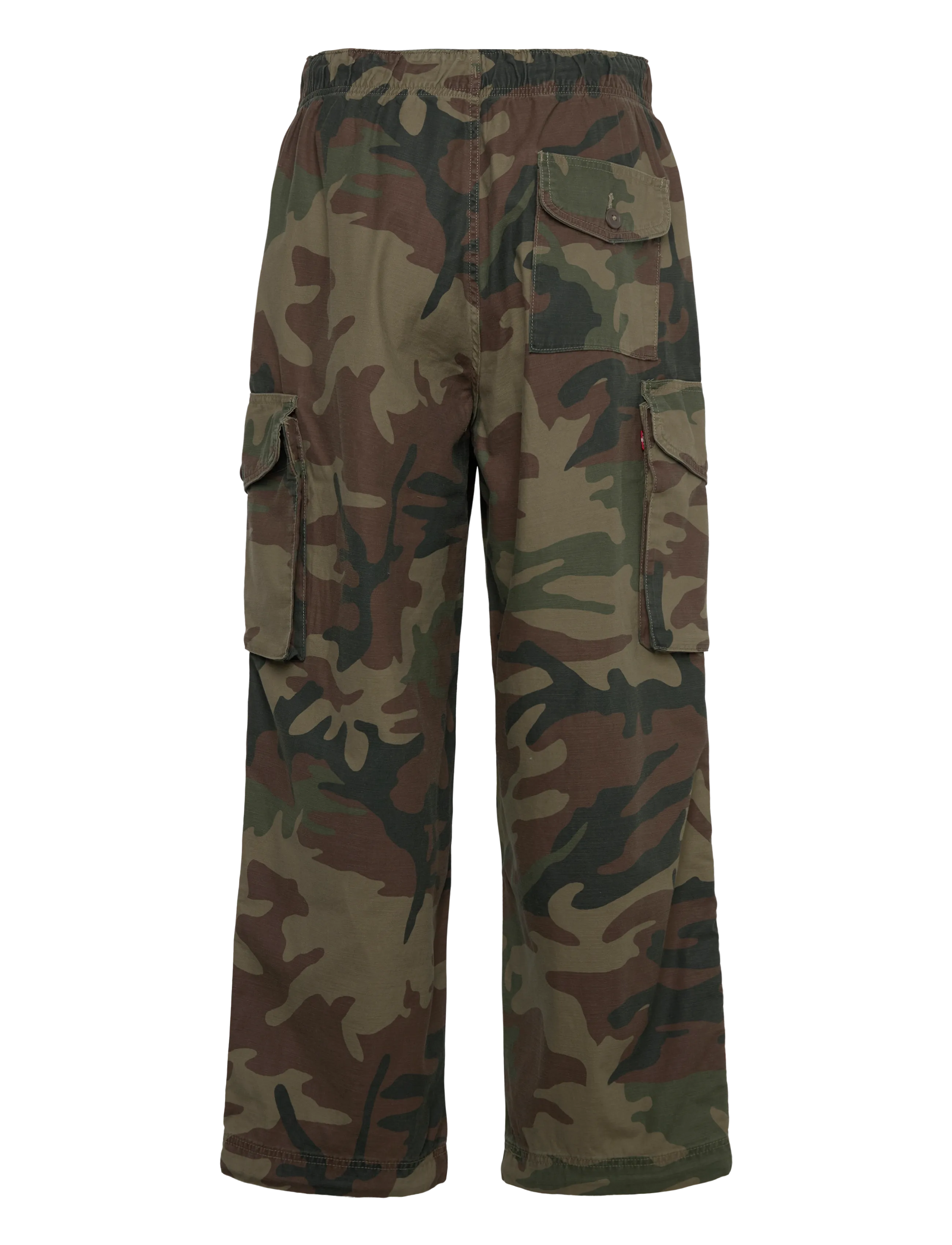 Levi's® - BAGGY FIELD CARGO PHALAROPE CA - cargohose - multi-color - 2
