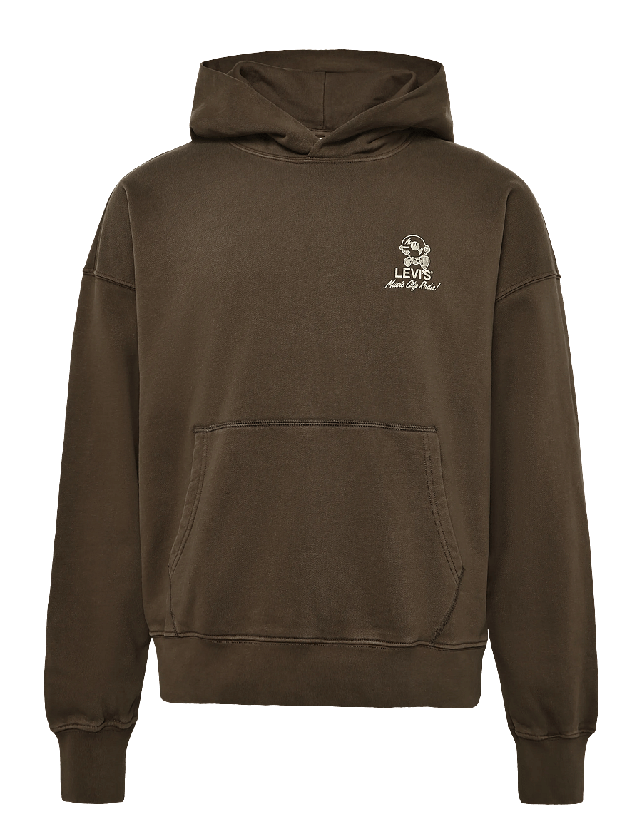 Levi's® - TWO HORSE BOXY HOODIE MUSIC CI - kapuzenpullover - brownsq - 1