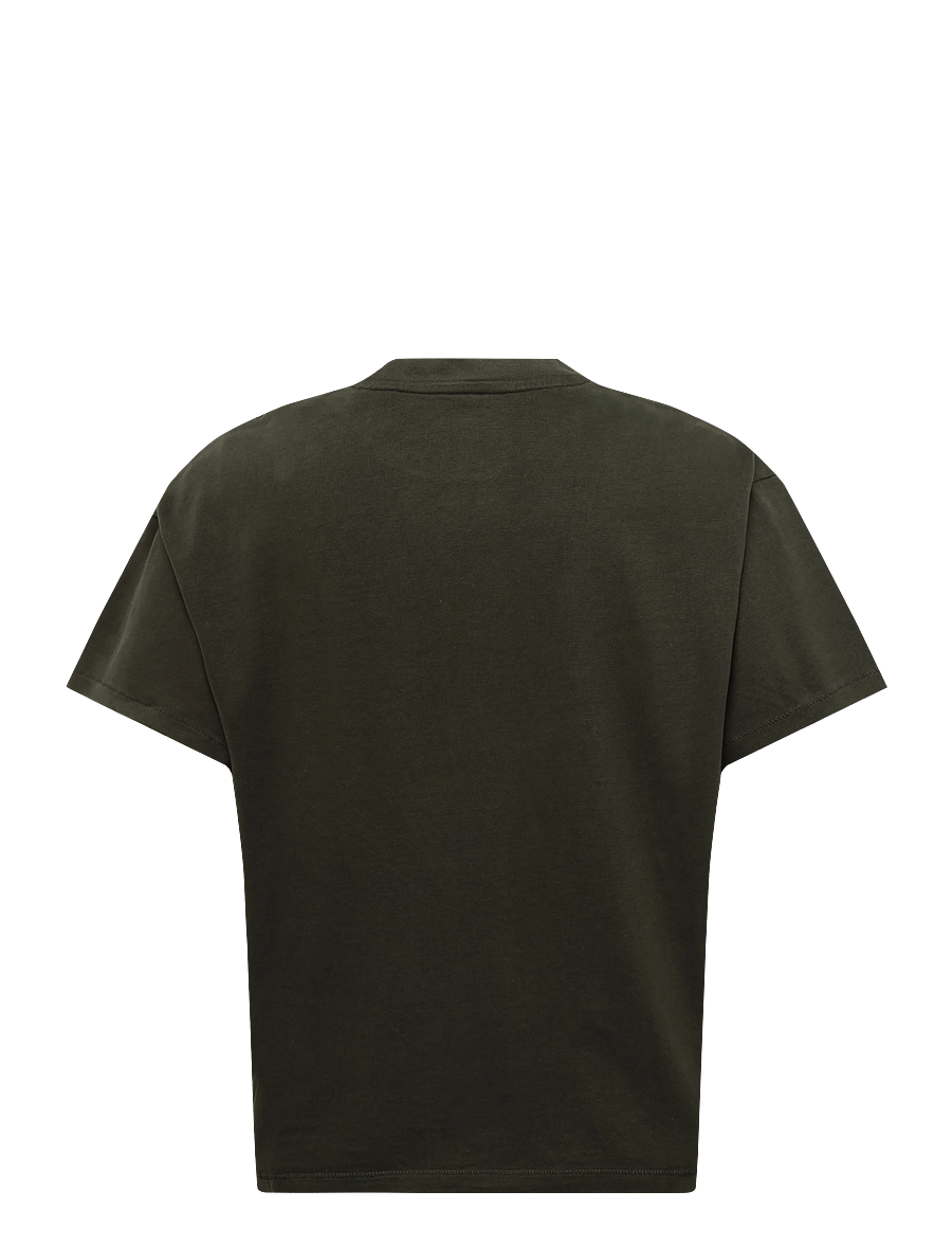 Levi's® - BOXY SS TEE SHEEN WASH ROSIN - lühikeste varrukatega t-särgid - greens - 1
