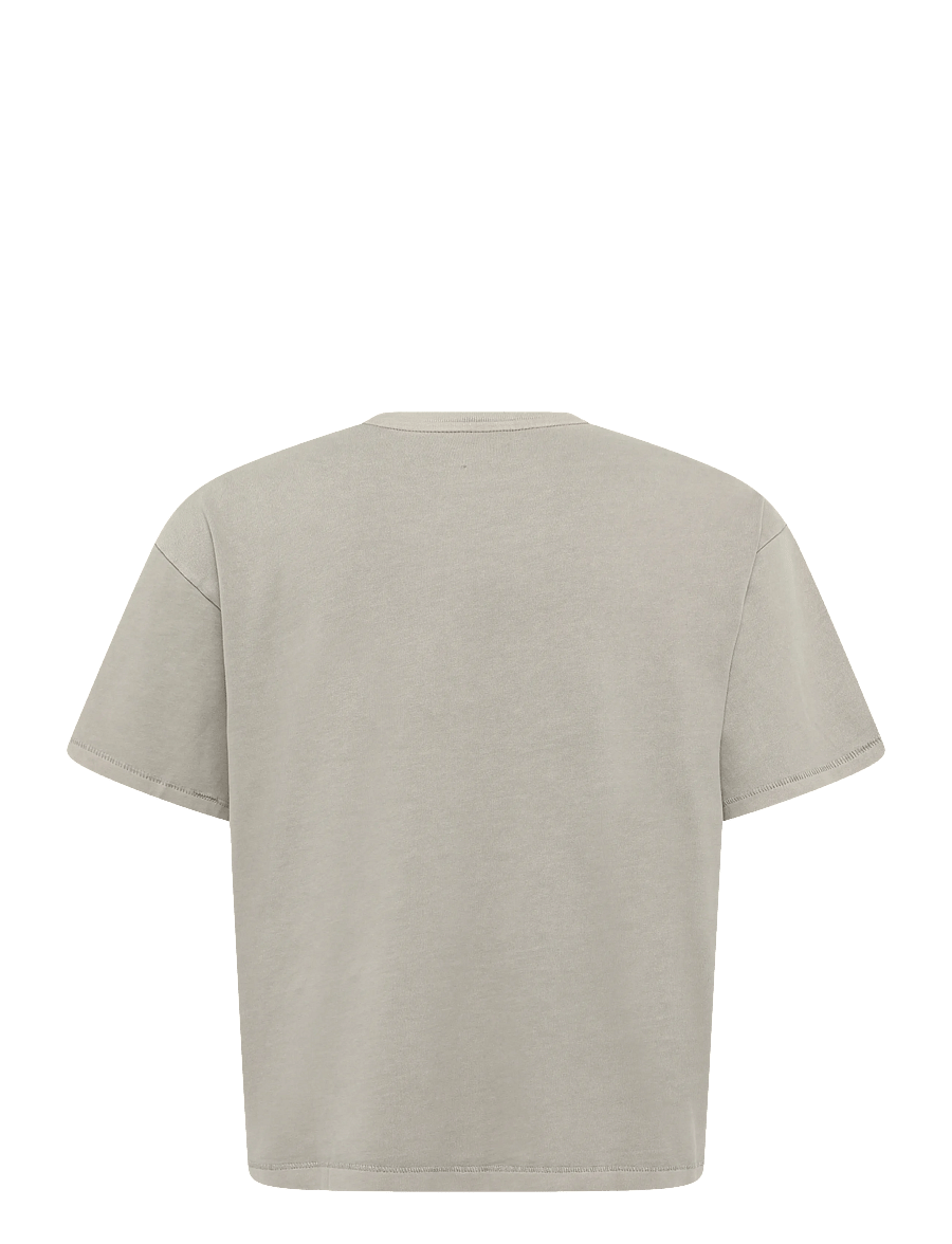Levi's® - BOXY SS TEE SHEEN WASH VINTAGE - kortærmede t-shirts - tans - 1