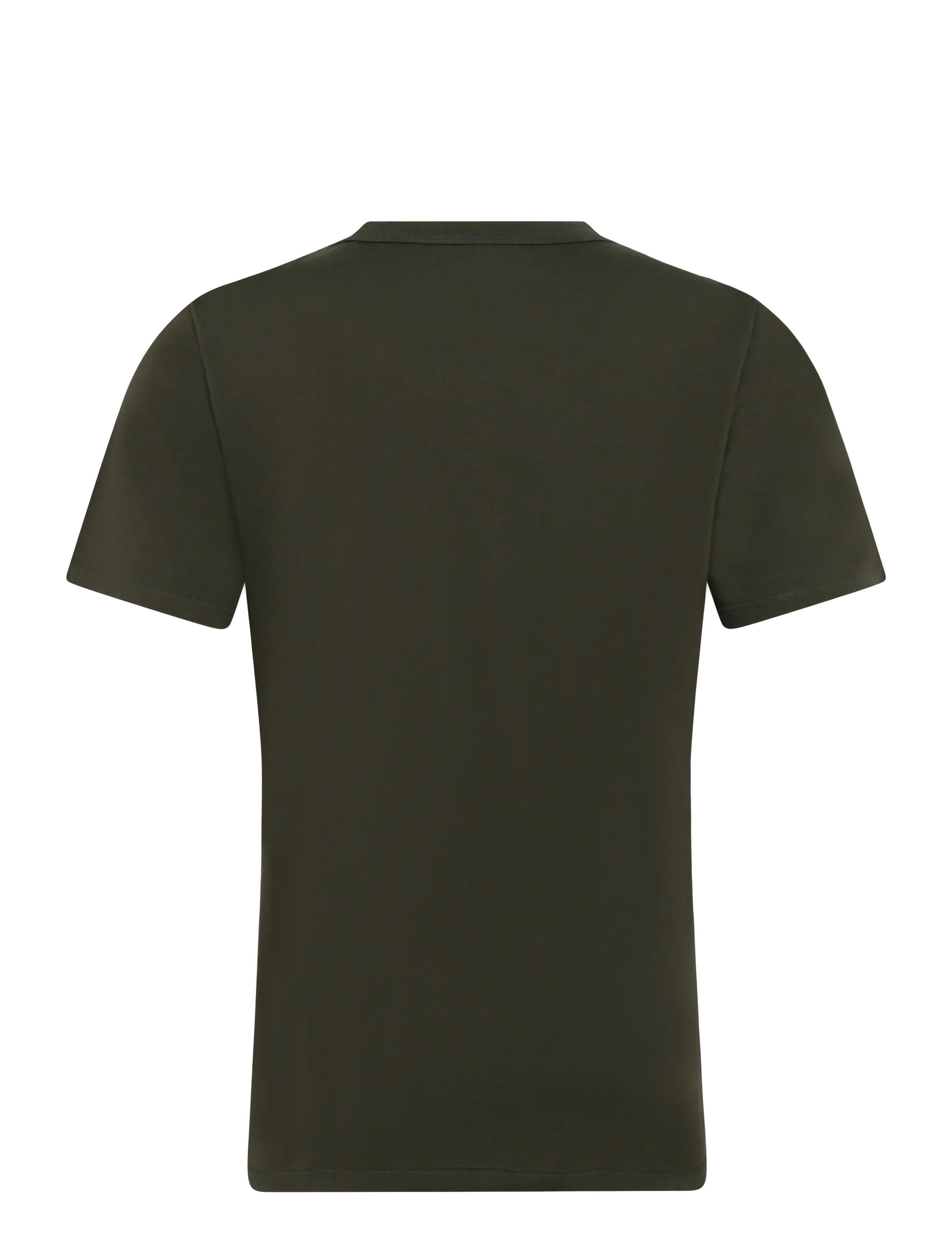 Levi's® - LEVIS ORIGINAL TEE GARMENT DYE - kurzärmelige t-shirts - greens - 1