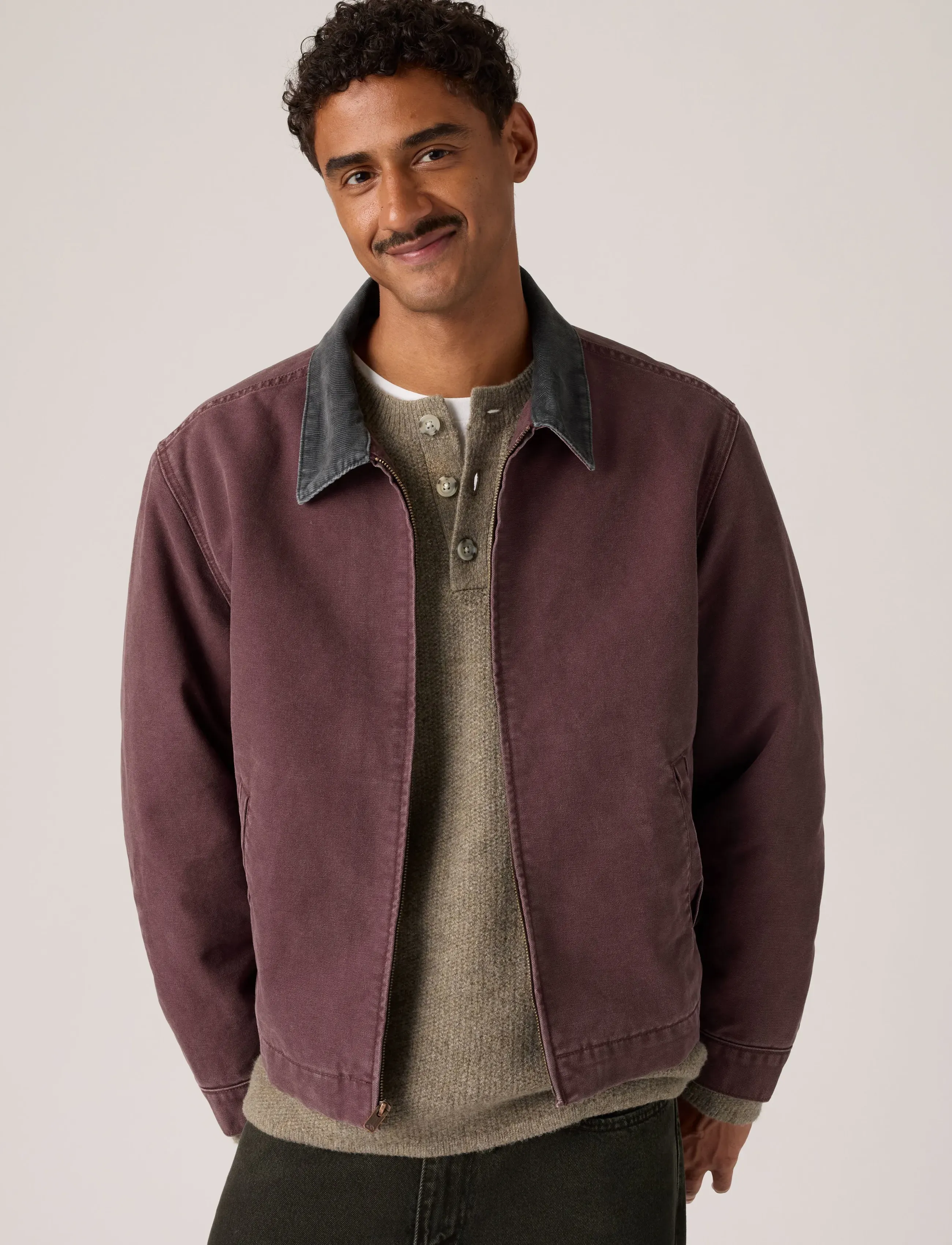 Levi's® CASTRO FULL ZIP LINED ALLSPICE - Üleriided - BROWNS / brown
