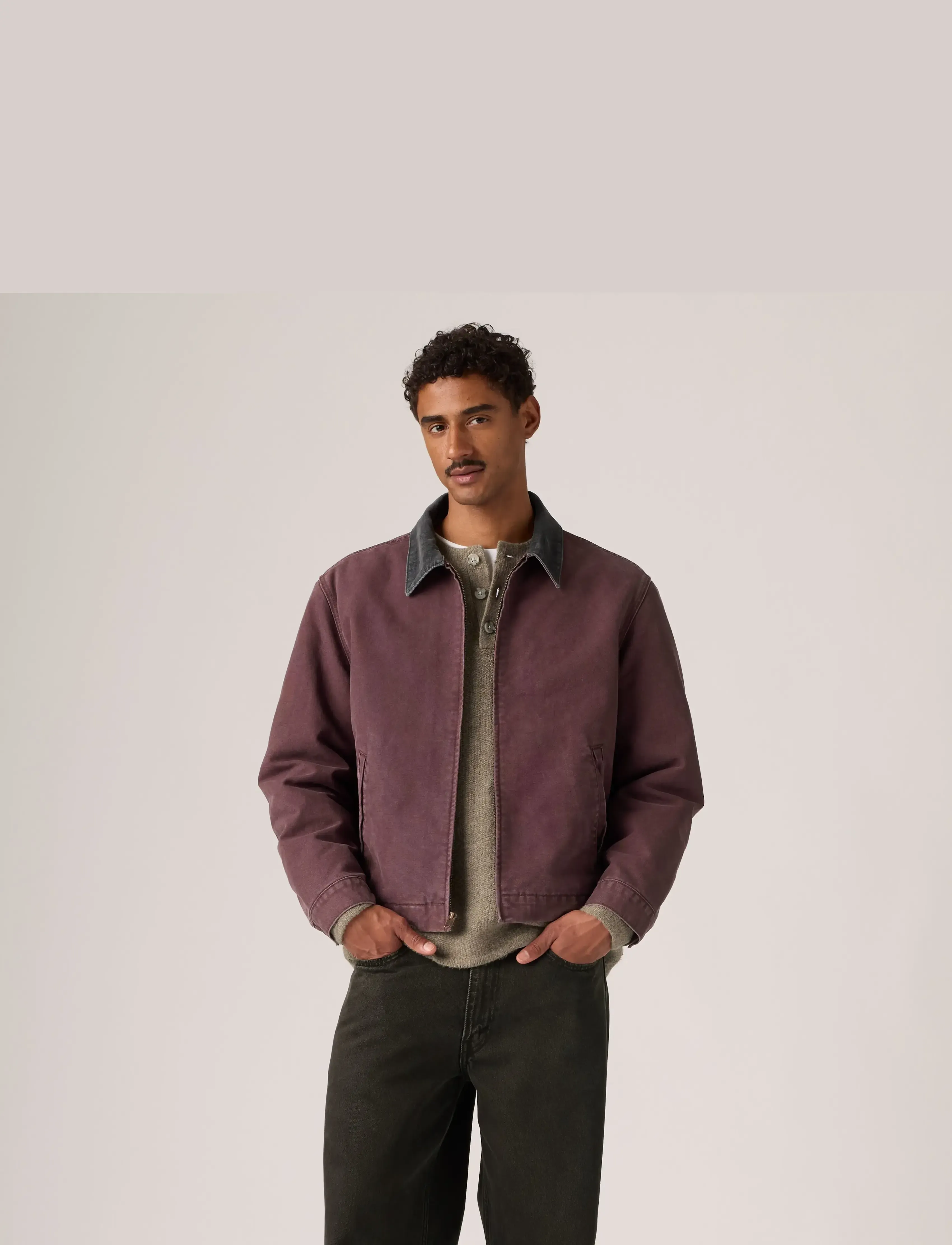 Levi's® - CASTRO FULL ZIP LINED ALLSPICE - browns - 3