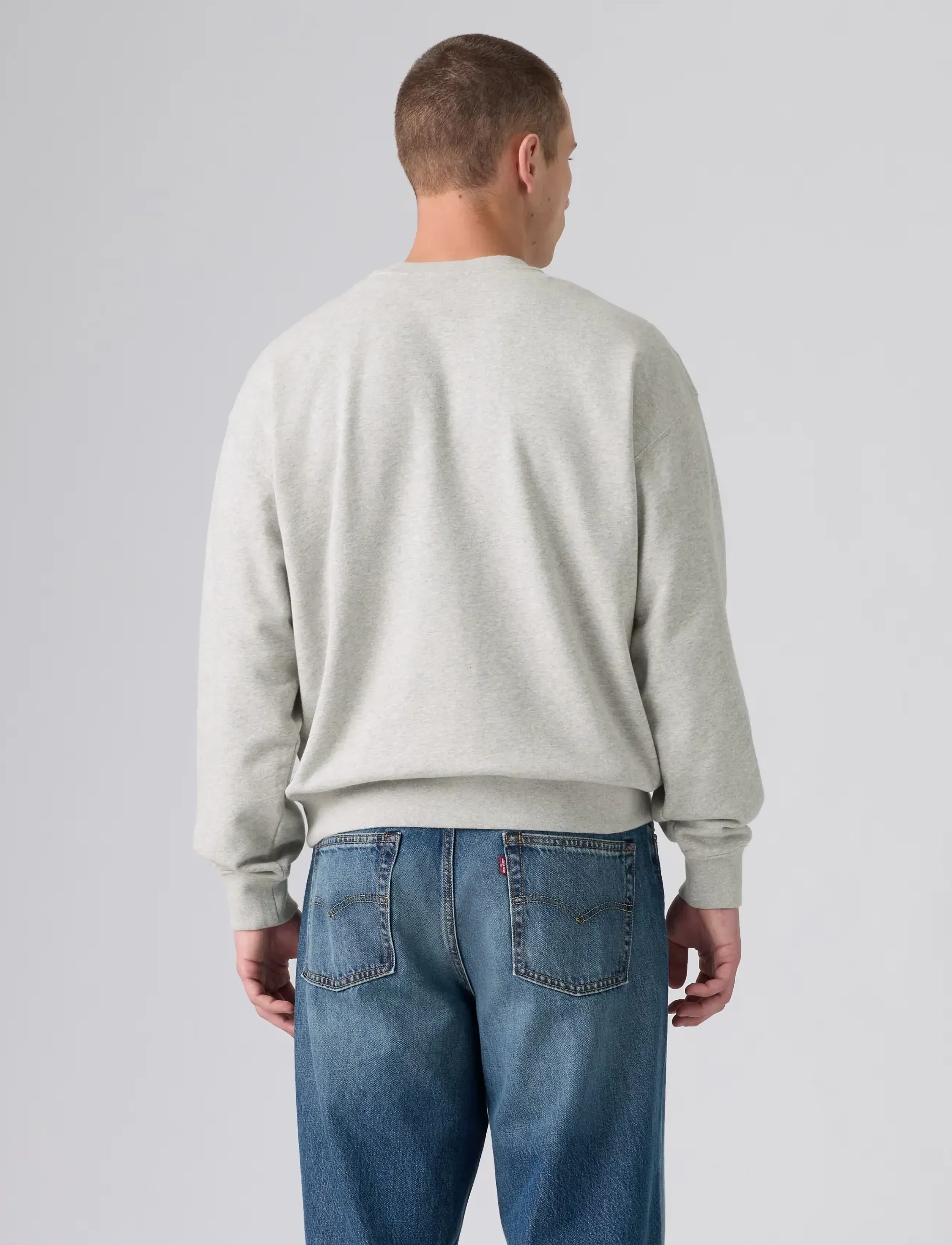 LEVIS ® Sunset Crew Ssnl Logo 2 Light tröjor herr – bild 3