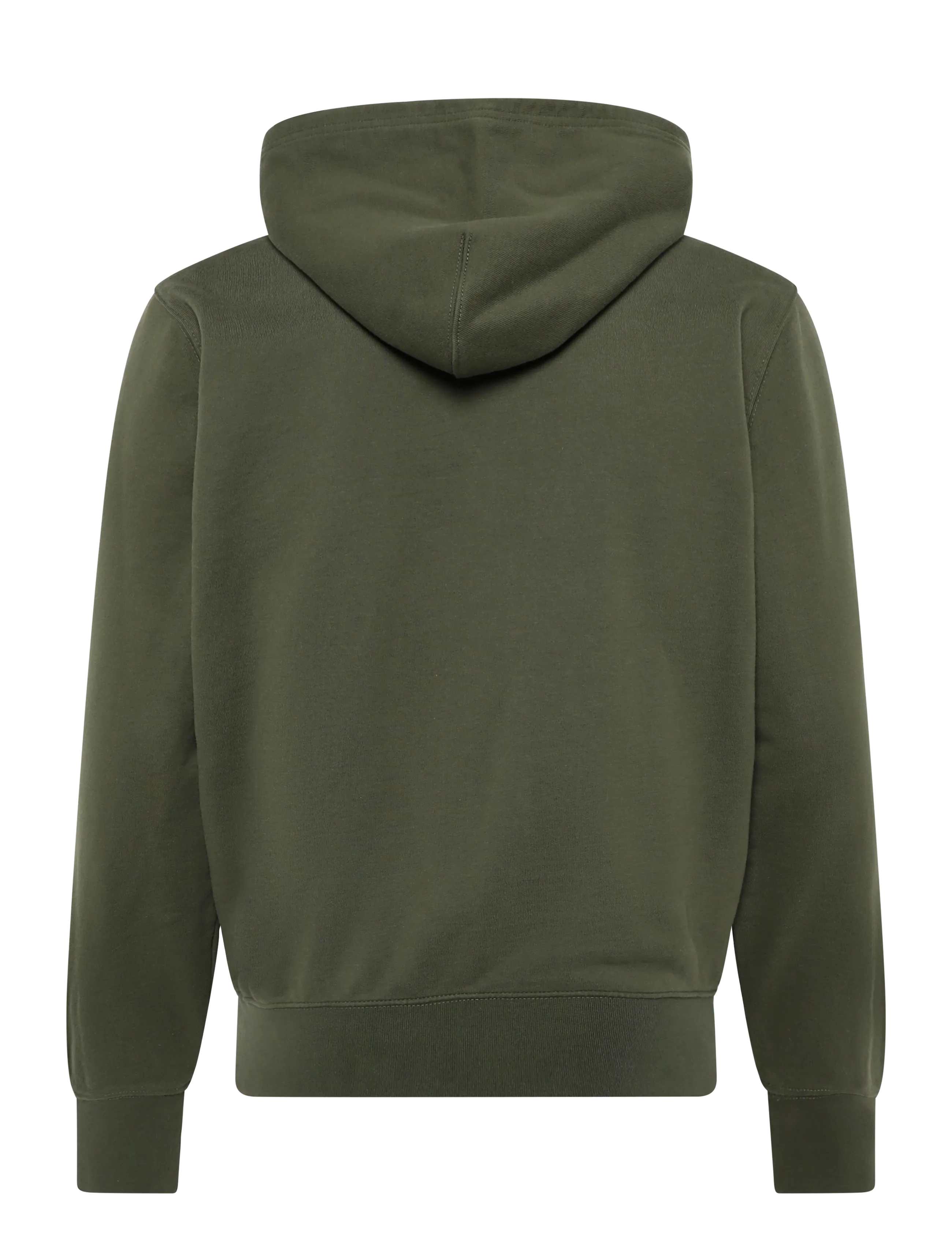 Levi's® - LSE_THE ORIGINAL HM ZIP UP DEE - hoodies - greens - 1