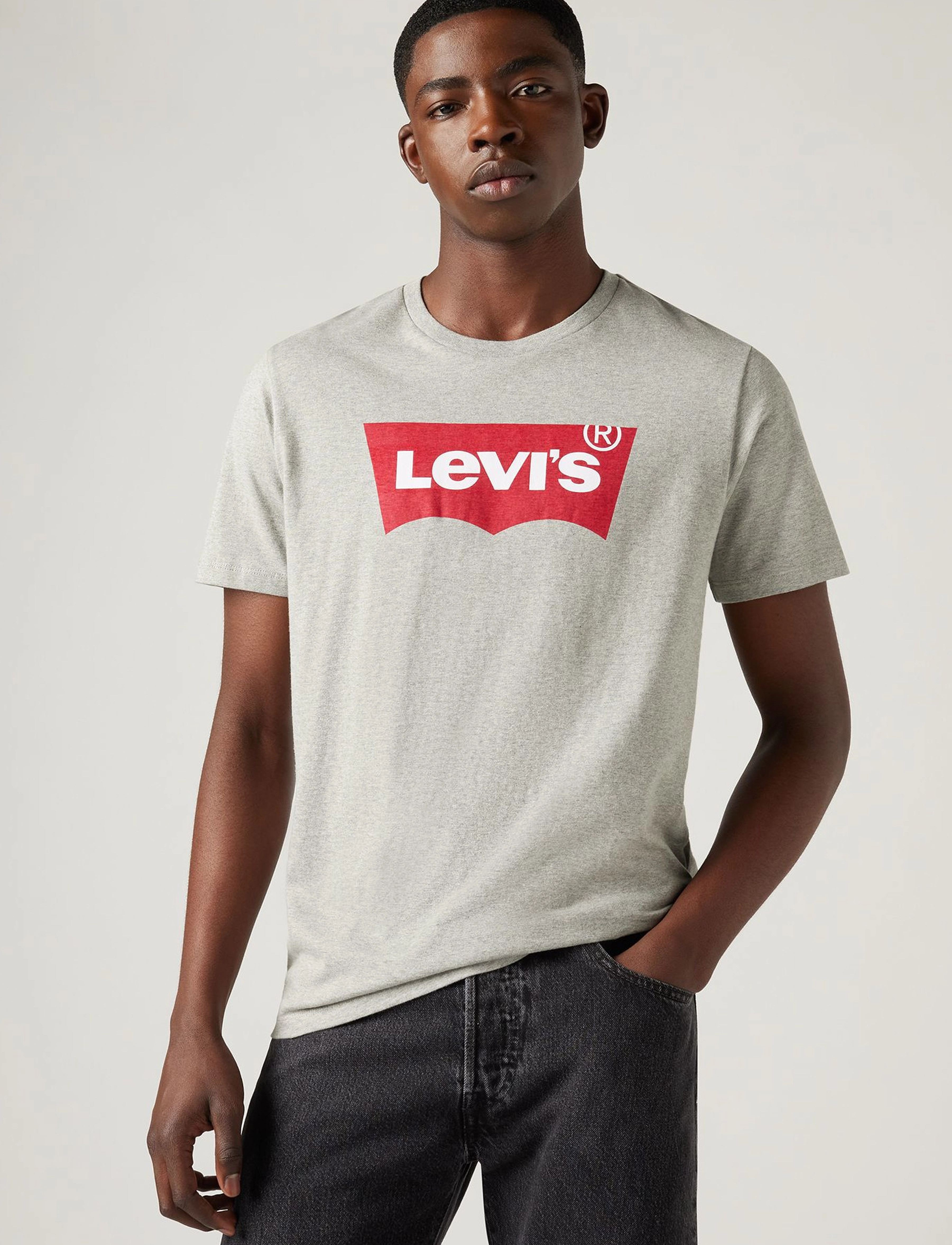 Levi's Graphic Setin Neck Graphic H21, XS, Grey, T-Shirts > Kortærmede, Herre