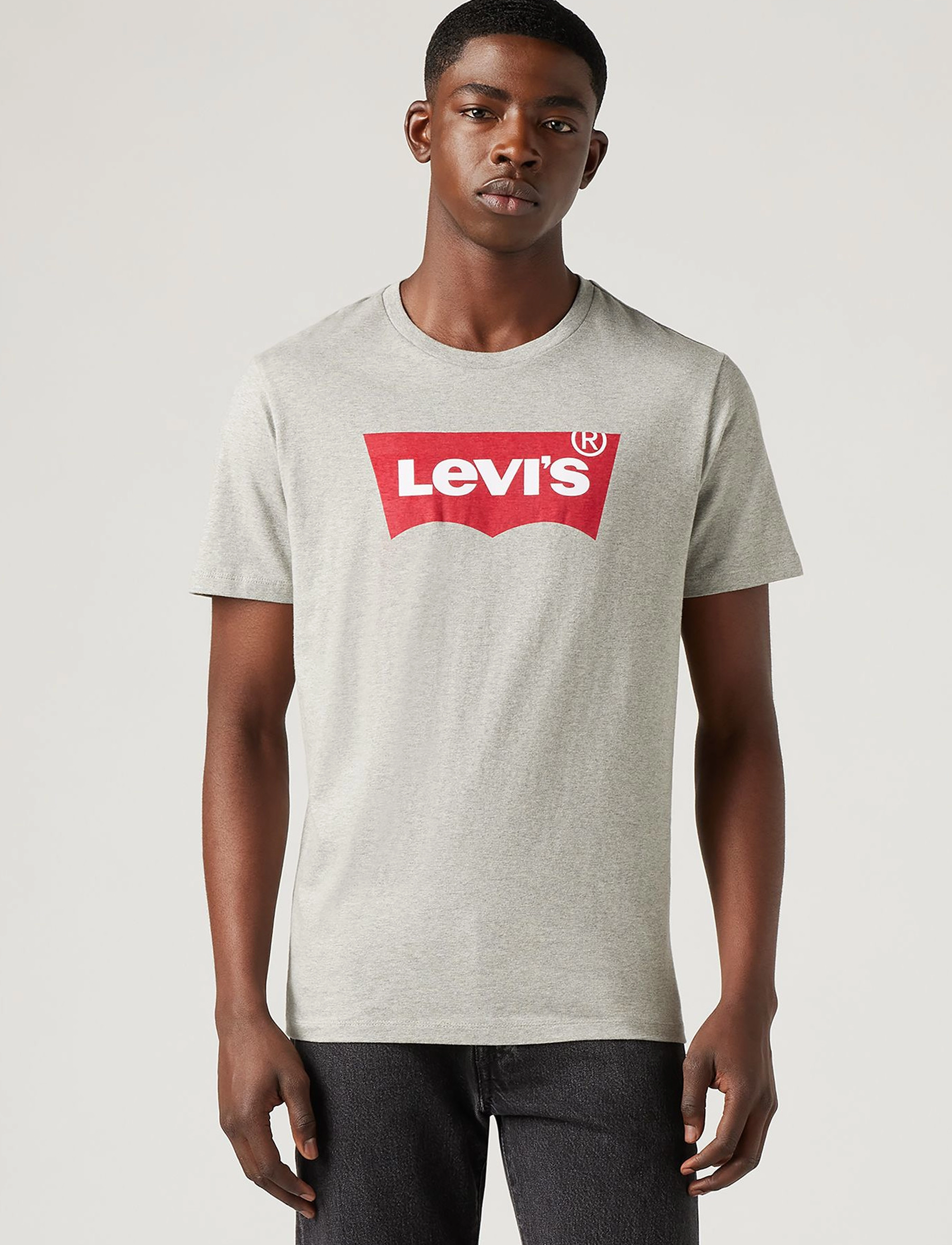 Levi's® - GRAPHIC SETIN NECK GRAPHIC H21 - kortærmede t-shirts - greys - 3