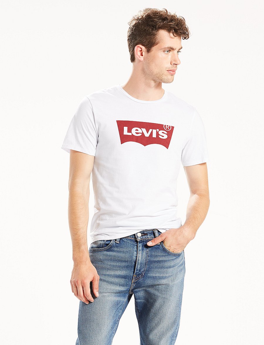 Levi's® - GRAPHIC SETIN NECK HM GRAPHIC - lühikeste varrukatega t-särgid - neutrals - 0