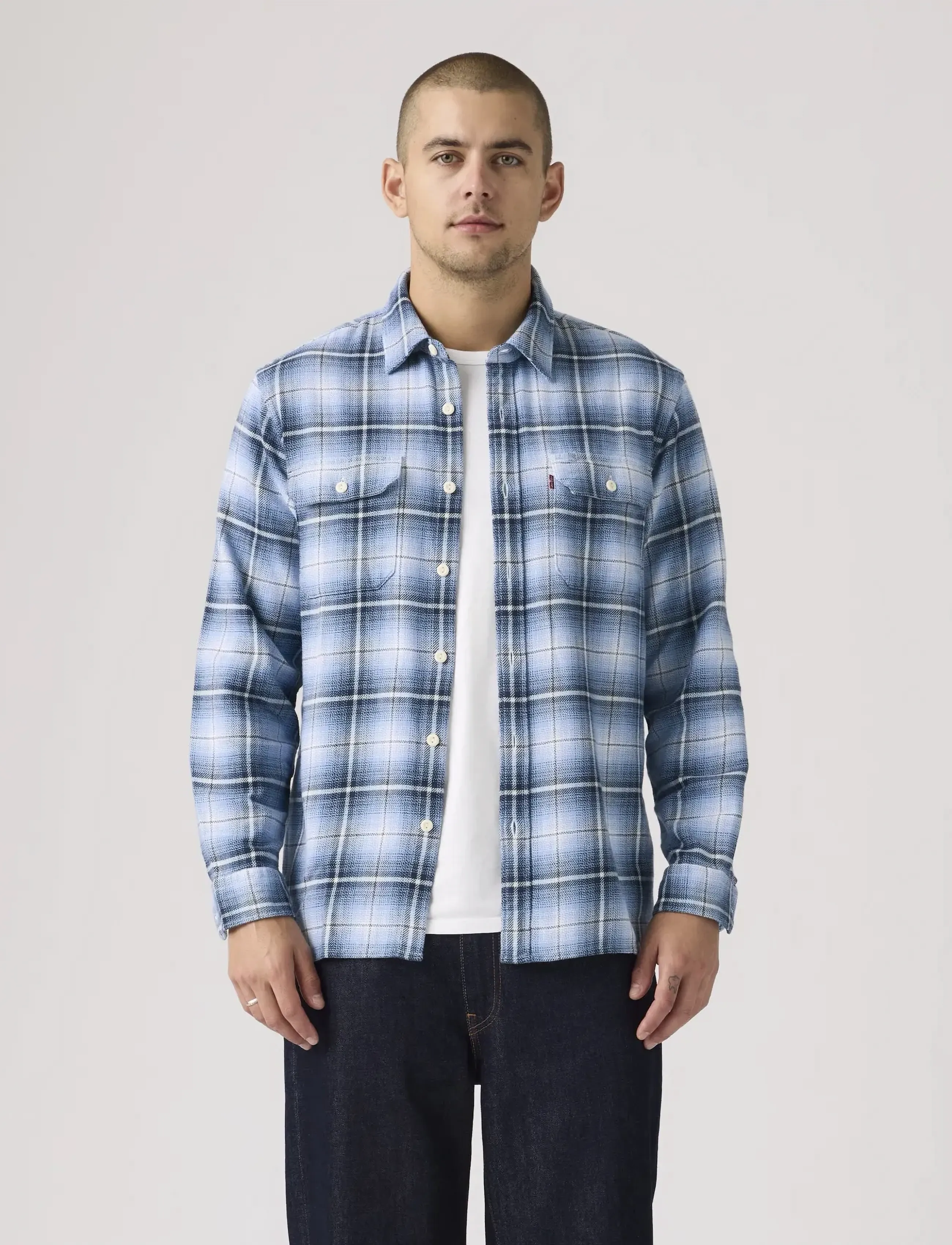 Levi's® JACKSON WORKER MADHU PLAID ALL - Ternede skjorter - BLUES / blue