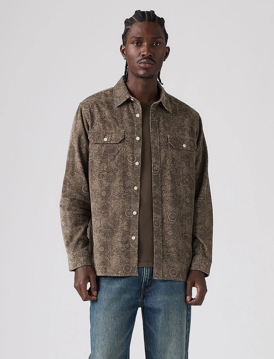 Levi's® - JACKSON WORKER ROGELIO PRINT B - gemusterte hemden - browns - 3