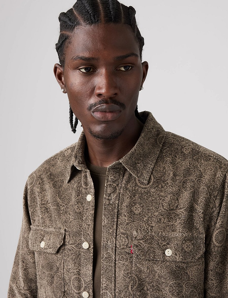 Levi's® - JACKSON WORKER ROGELIO PRINT B - gemusterte hemden - browns - 5