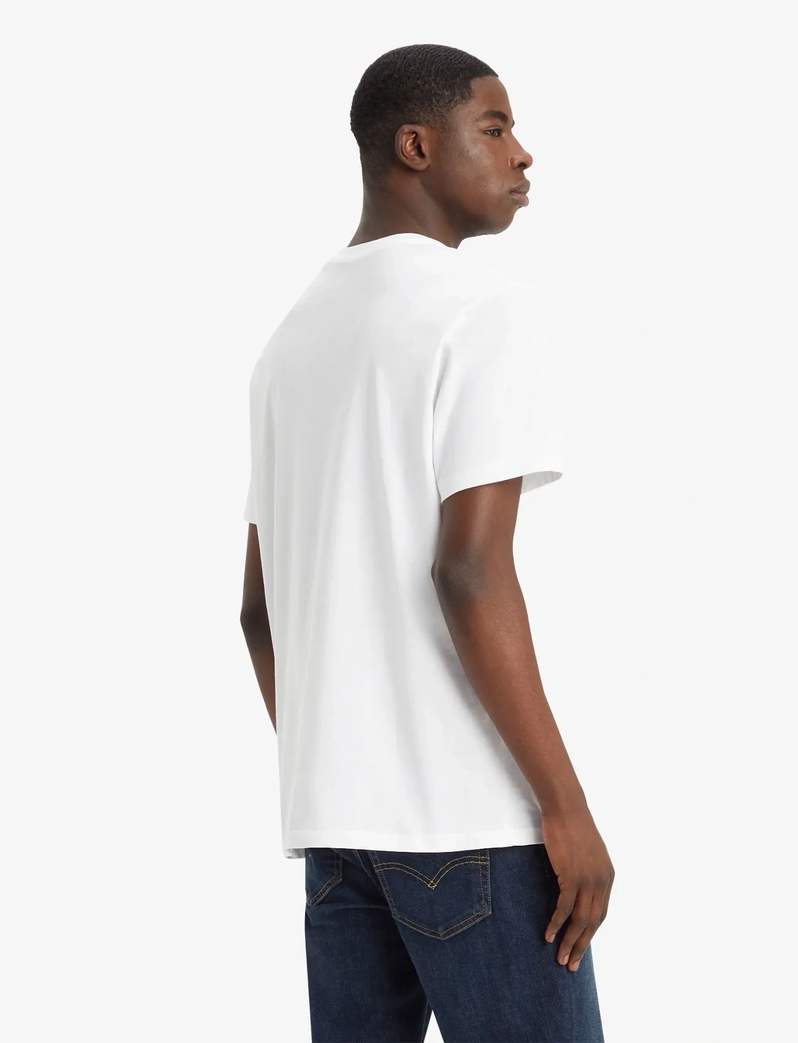 Levi's® - HOUSEMARK GRAPHIC TEE HM SSNL - neutrals - 3