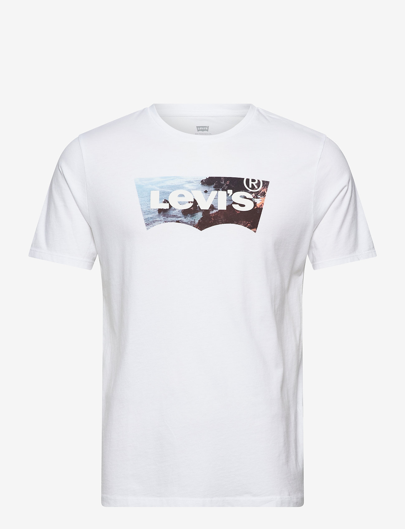 LEVI´S Men - HOUSEMARK GRAPHIC TEE SSNL HM2 - neutrals - 0