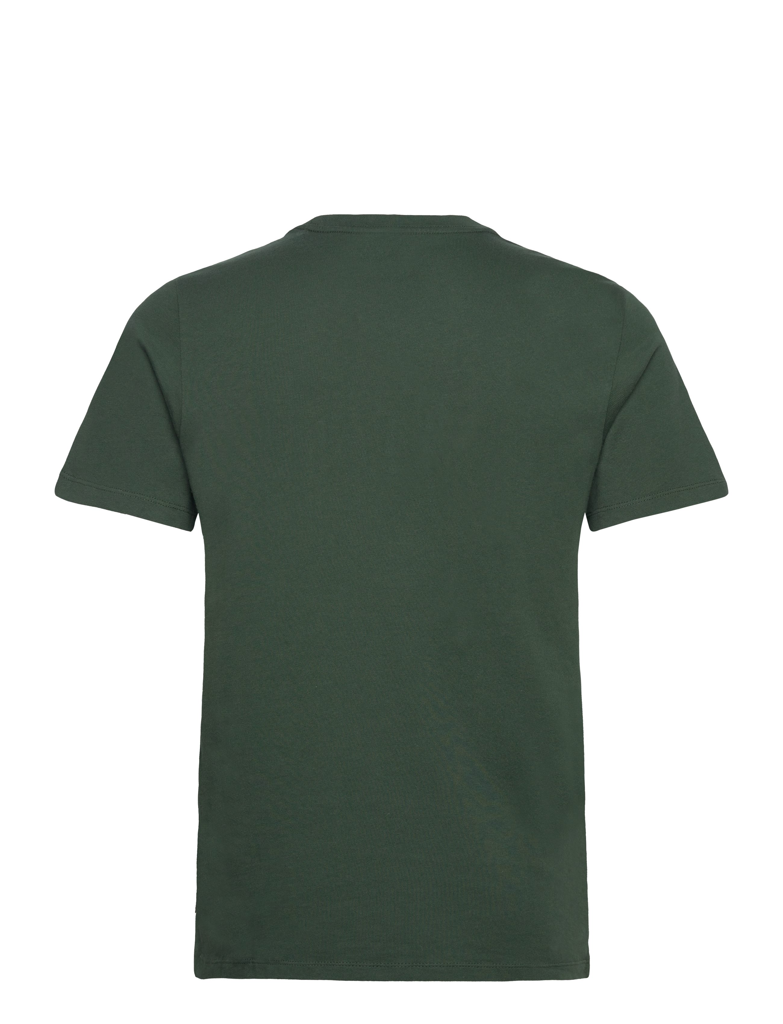 Levi's® - GRAPHIC CREWNECK TEE APPLIQUE - kortærmede t-shirts - greens - 2