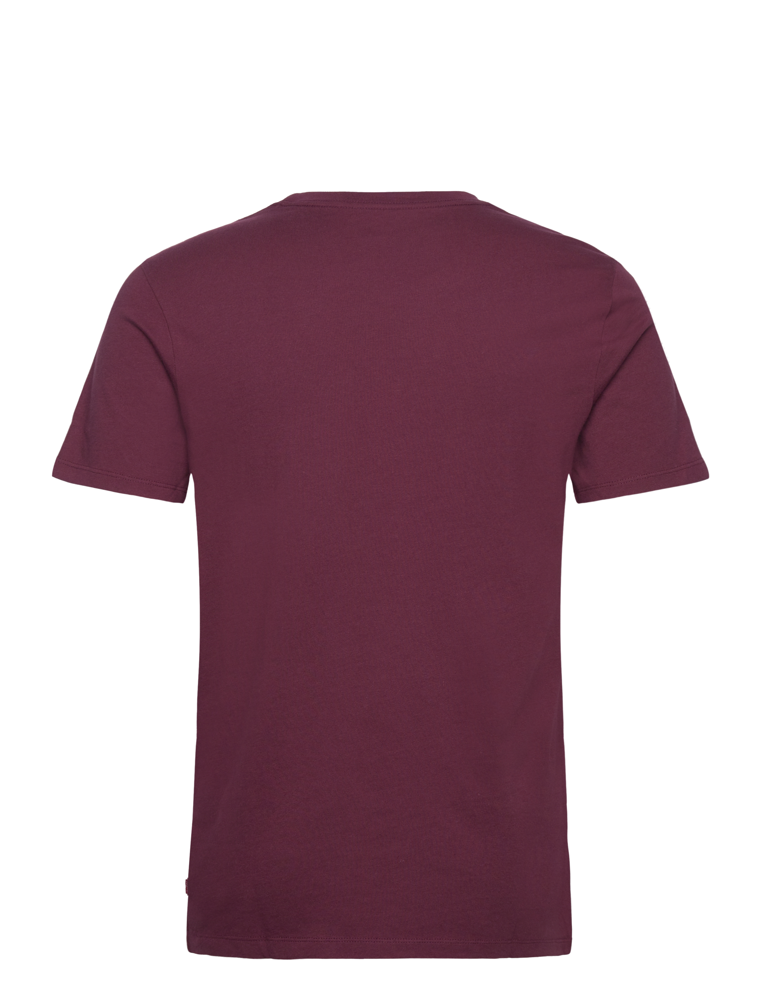 Levi's® - GRAPHIC CREWNECK TEE APPLIQUE - kortærmede t-shirts - purples - 2