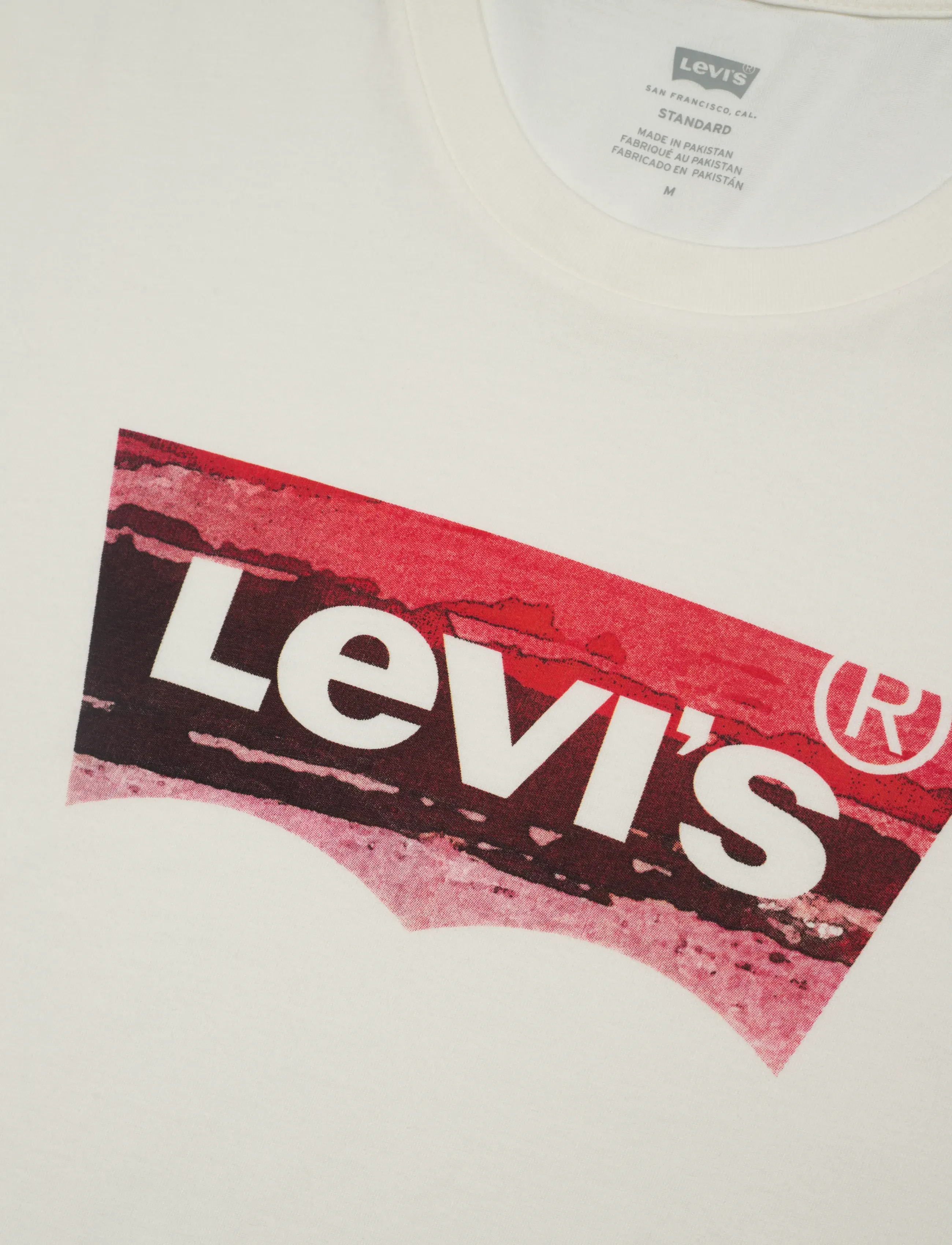 Levi's® - GRAPHIC CREWNECK TEE COASTAL F - kortærmede t-shirts - tans - 2